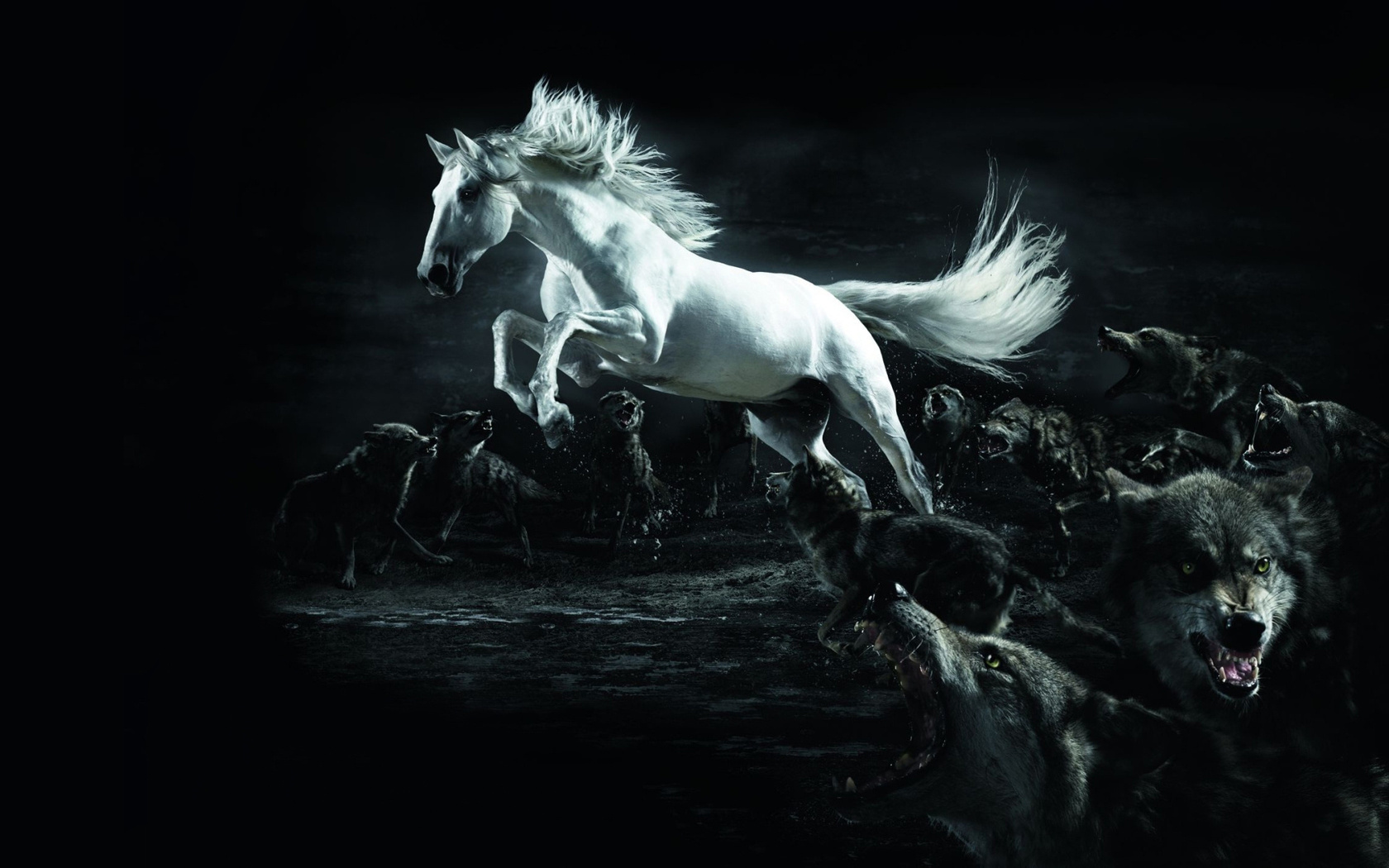 46911 скачать картинку лошади, волки, черные, животные - обои и заставки бесплатно