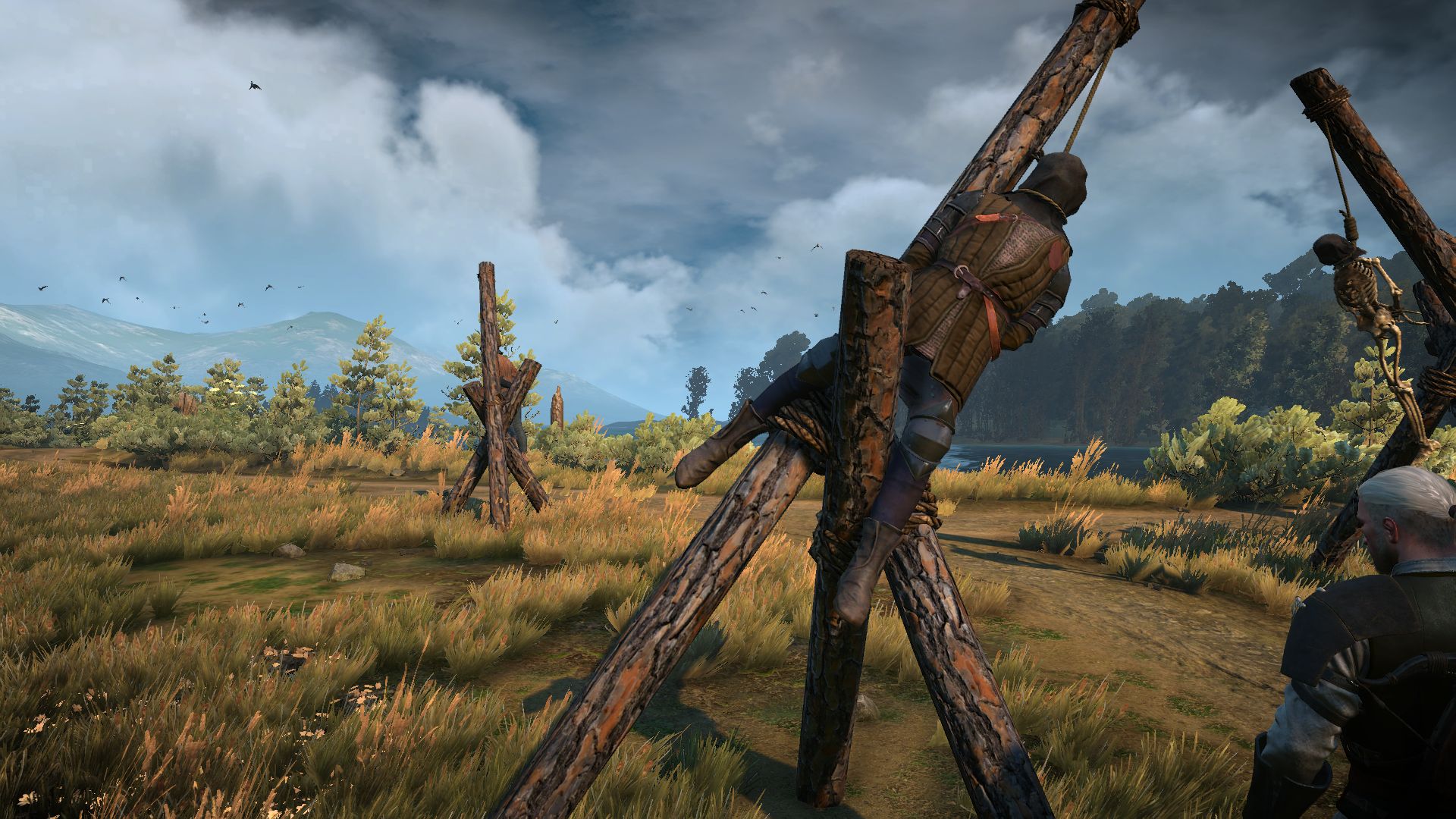 Download mobile wallpaper The Witcher 3: Wild Hunt, The Witcher, Video Game for free.