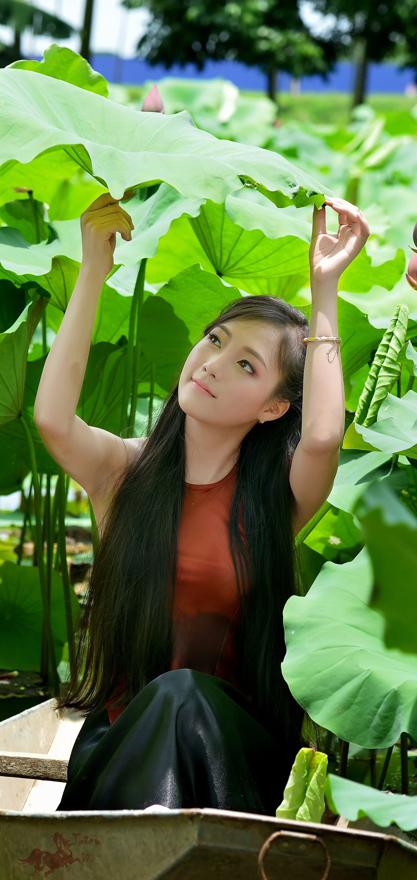 Descarga gratuita de fondo de pantalla para móvil de Mujeres, Asiática, Vietnamita.