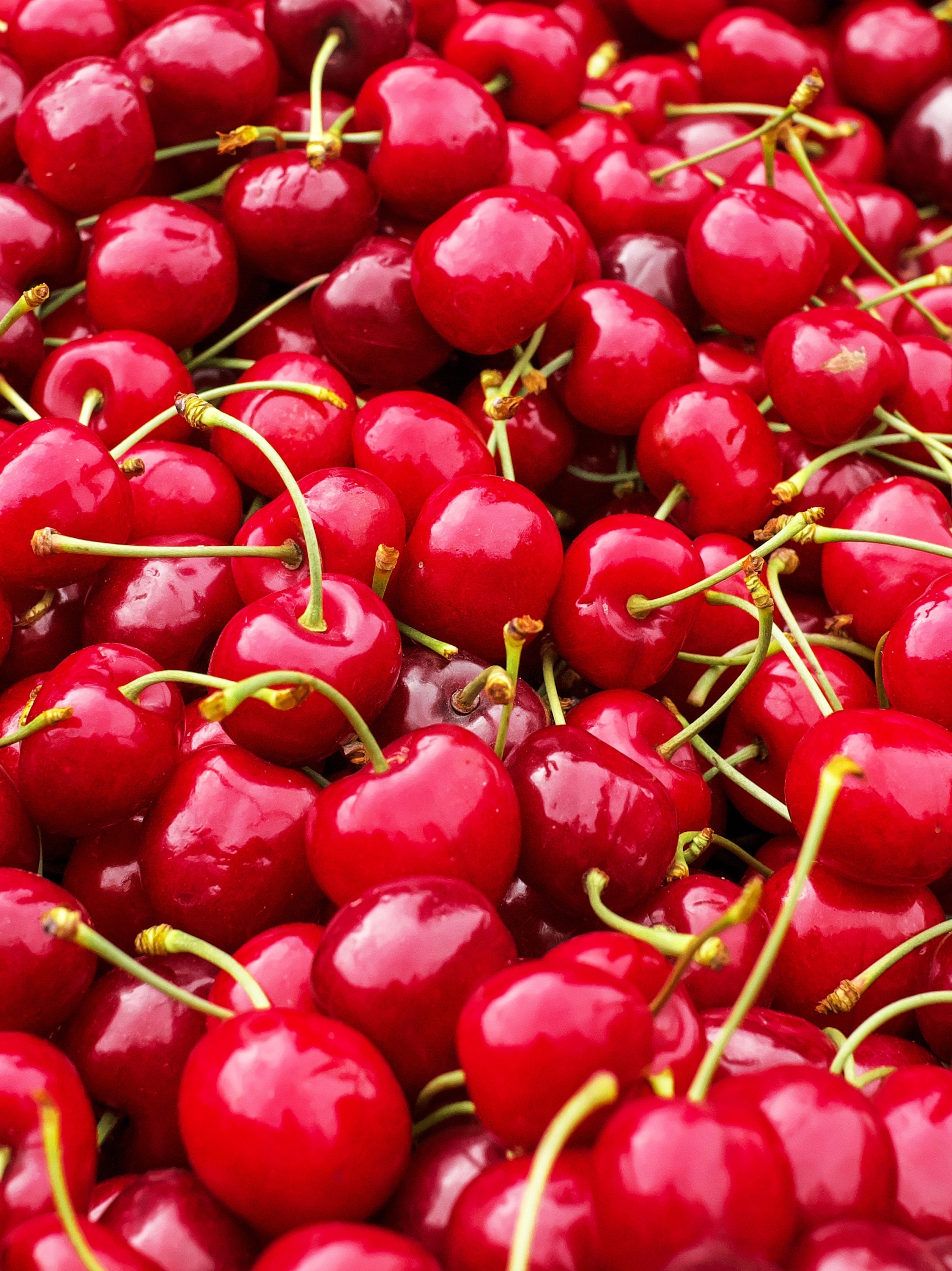Free download wallpaper Fruits, Food, Cherry, Fruit on your PC desktop