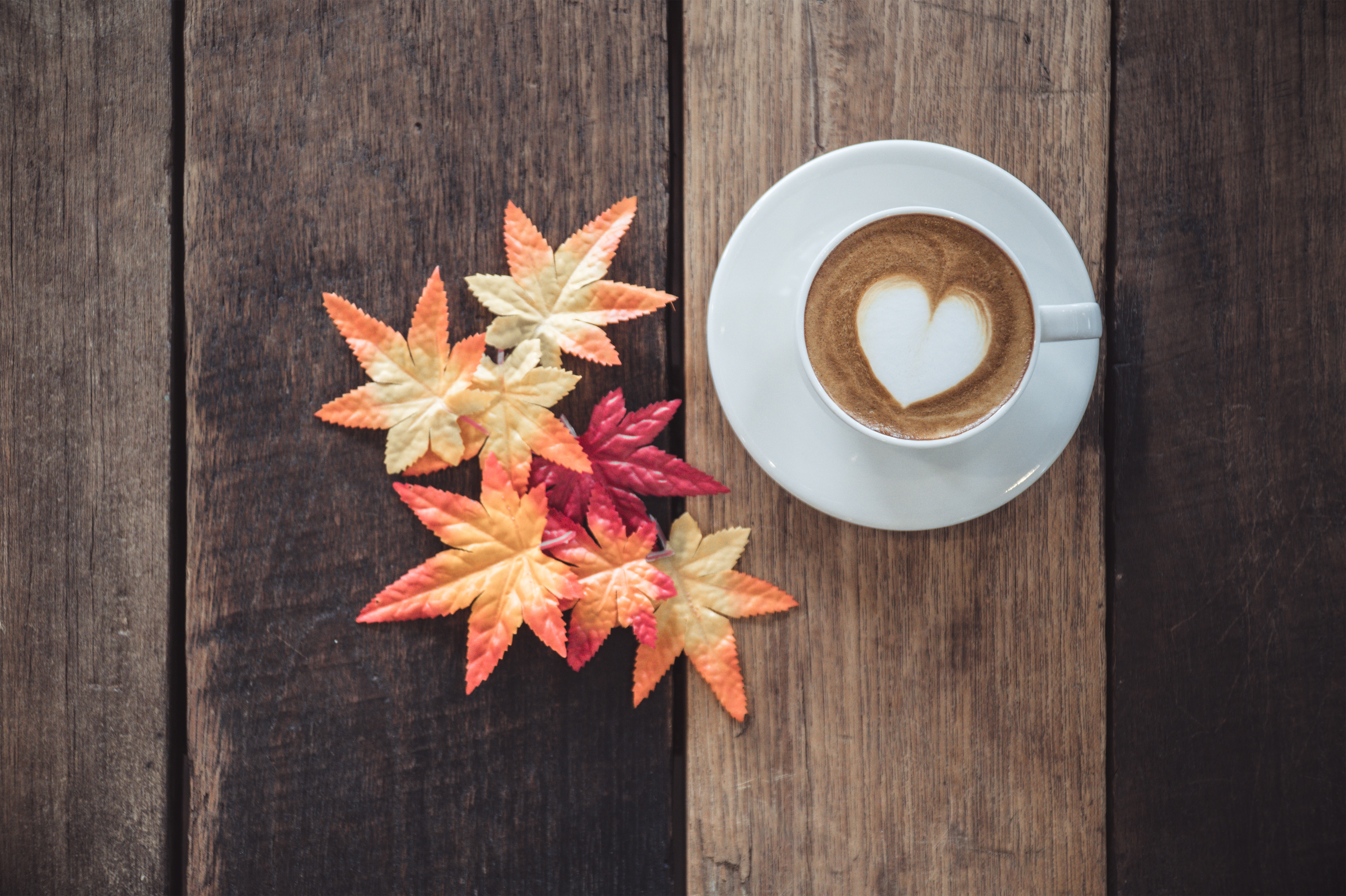 Free download wallpaper Food, Coffee, Cup, Leaf on your PC desktop