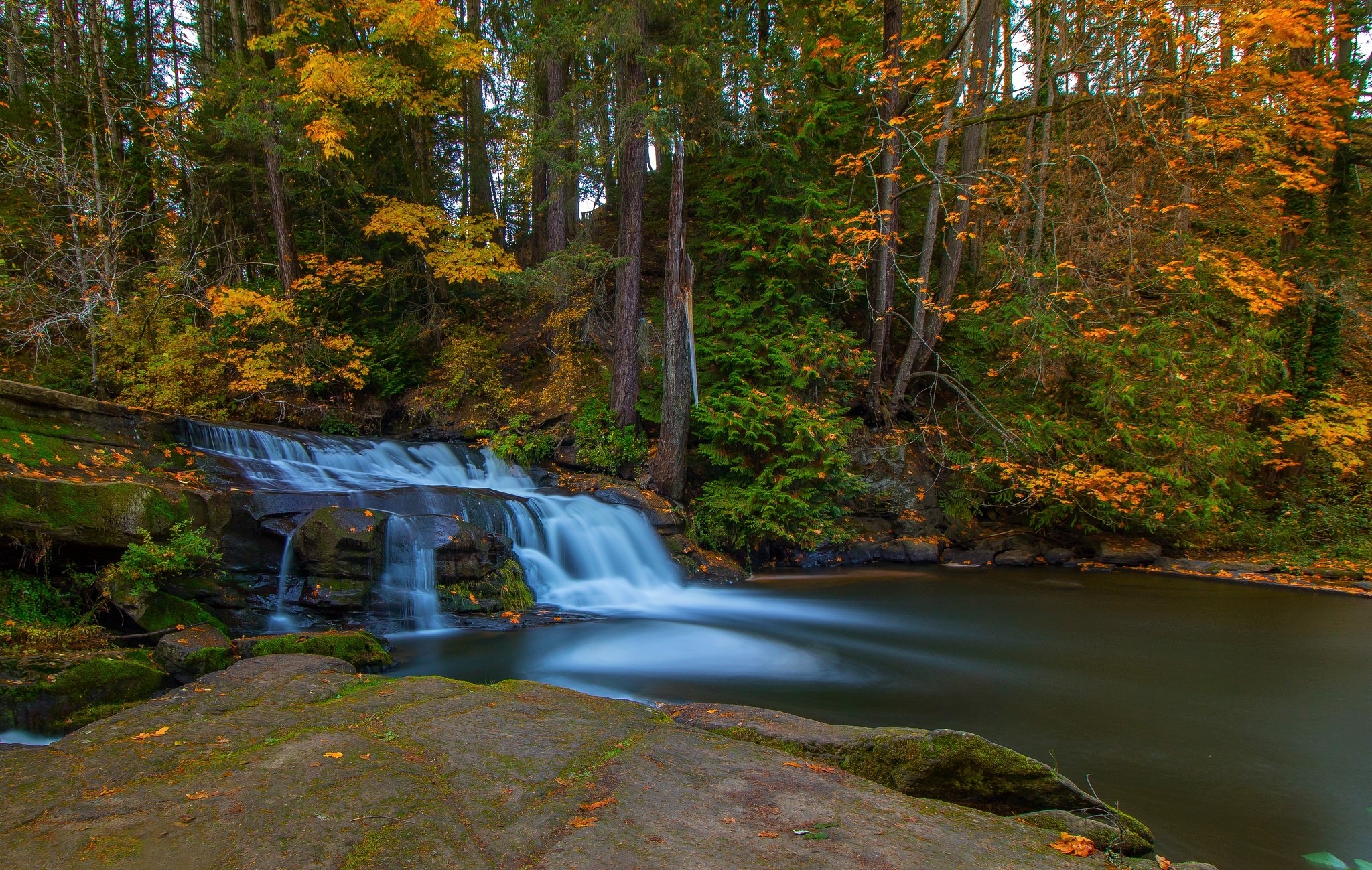 Скачать обои бесплатно Природа, Осень, Водопады, Водопад, Лес, Земля/природа картинка на рабочий стол ПК