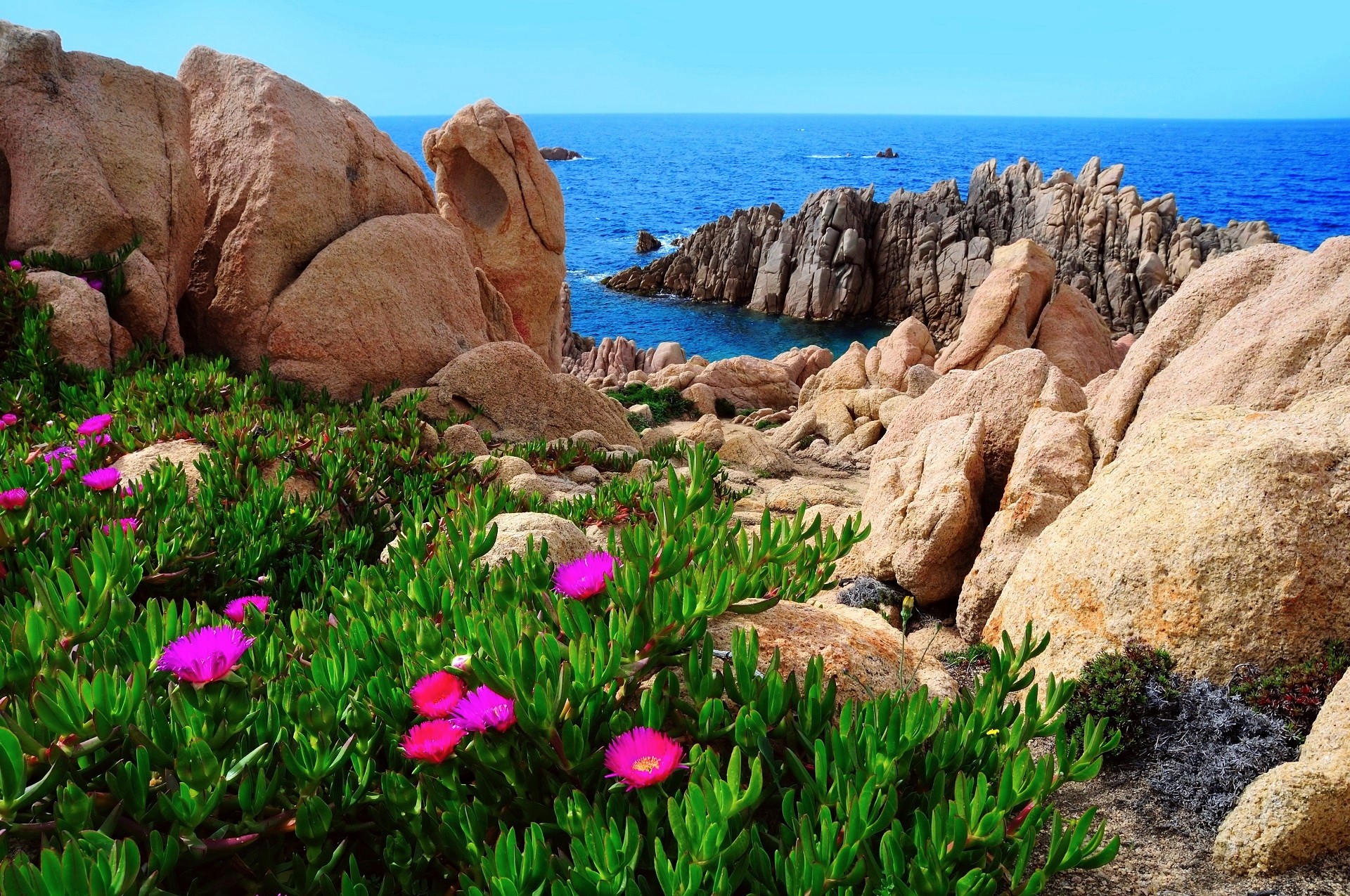 Téléchargez gratuitement l'image Mer, Italie, Horizon, Fleur, Côte, Océan, Sardaigne, Terre/nature sur le bureau de votre PC