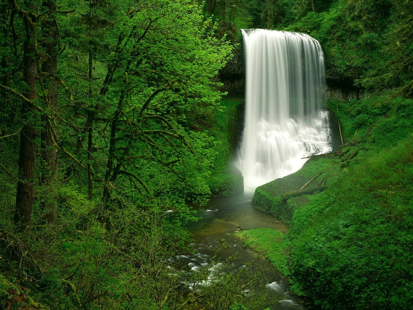 Скачать картинку Природа, Водопады, Водопад, Растительность, Зеленый, Земля/природа в телефон бесплатно.