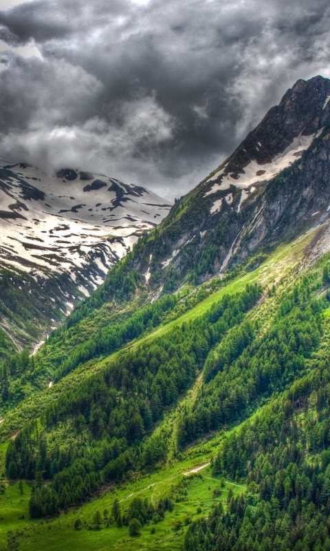 Handy-Wallpaper Landschaft, Wald, Baum, Erde, Schweiz, Gebirge, Wolke, Berge, Erde/natur kostenlos herunterladen.
