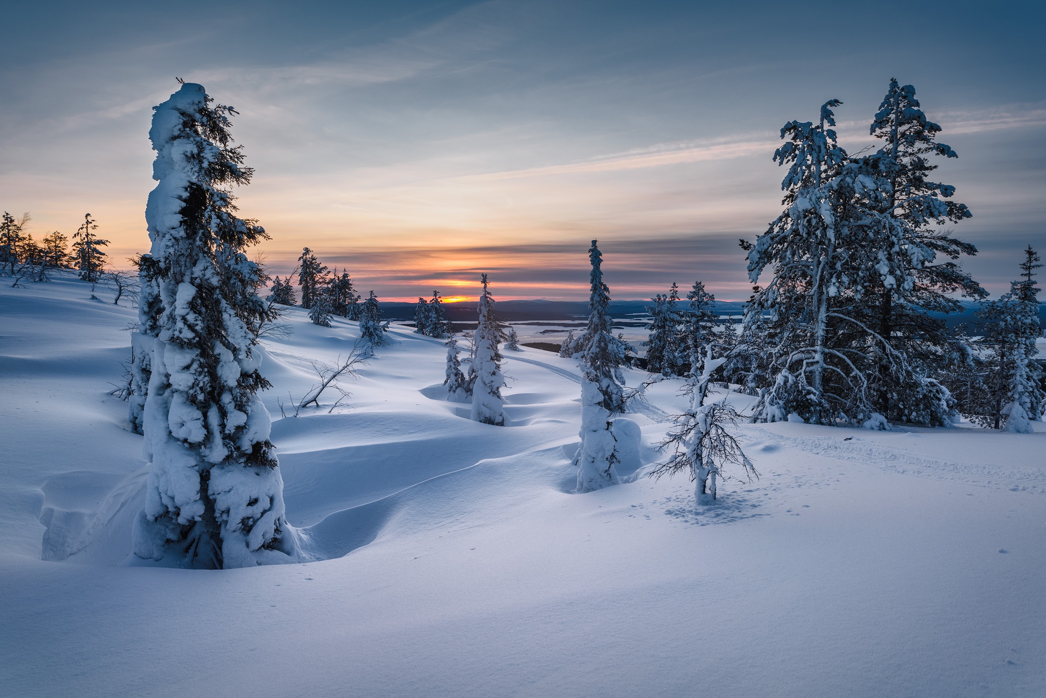 Скачать картинку Зима, Закат, Снег, Ель, Россия, Земля/природа в телефон бесплатно.
