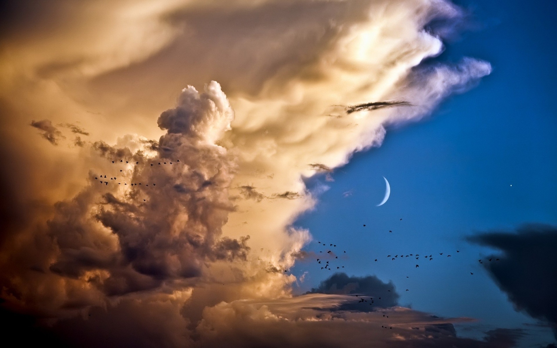 earth, cloud, bird, crescent