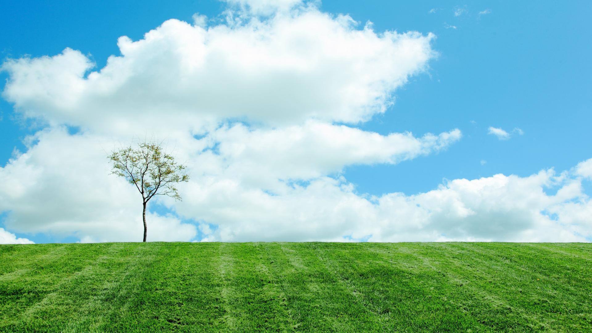 Free download wallpaper Trees, Clouds, Landscape, Fields on your PC desktop