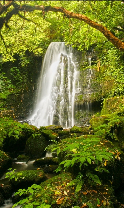 Download mobile wallpaper Nature, Waterfalls, Waterfall, Forest, Earth for free.
