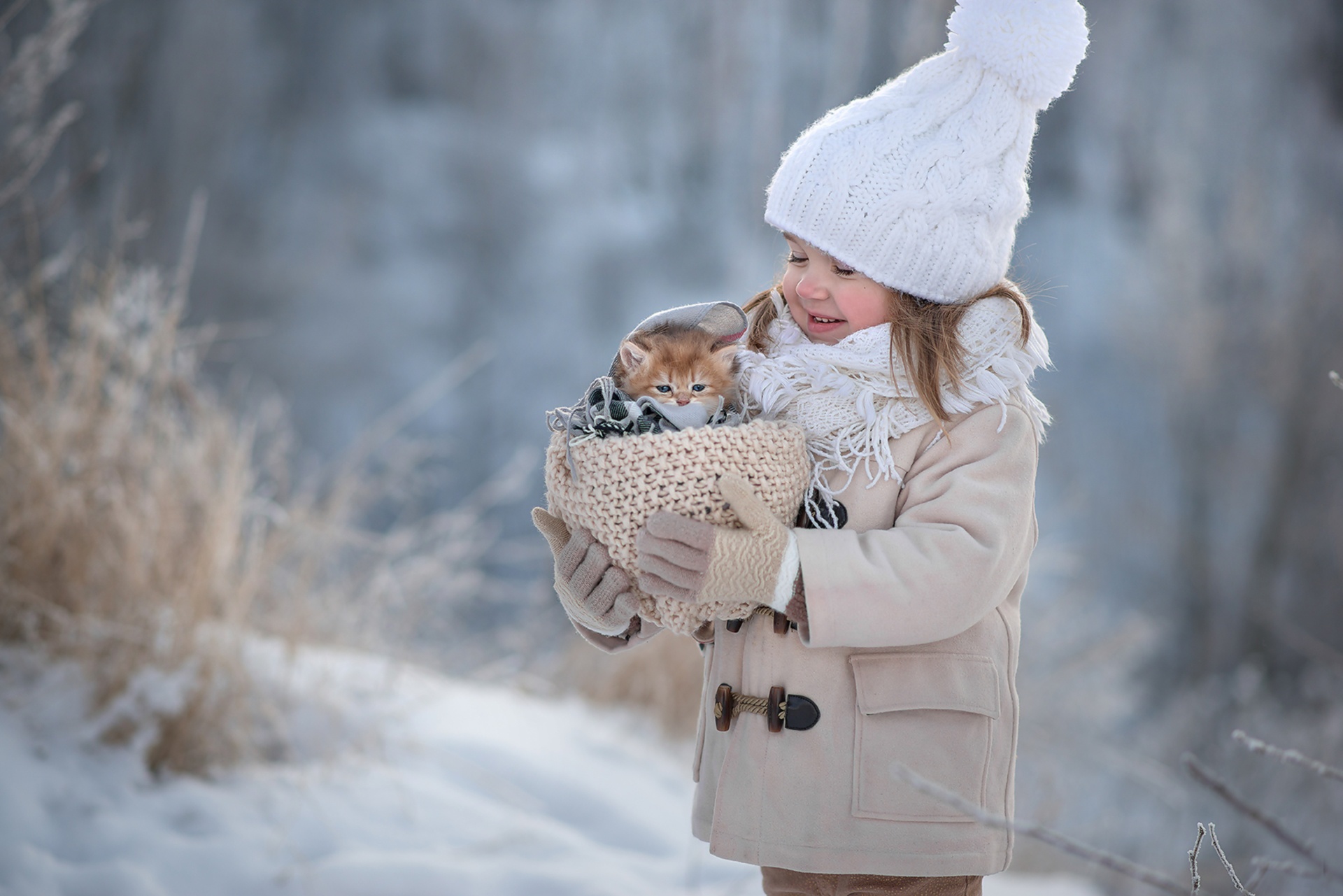 Laden Sie das Winter, Katze, Kätzchen, Kind, Korb, Hut, Fotografie, Tierbaby, Kleines Mädchen, Tiefenschärfe-Bild kostenlos auf Ihren PC-Desktop herunter