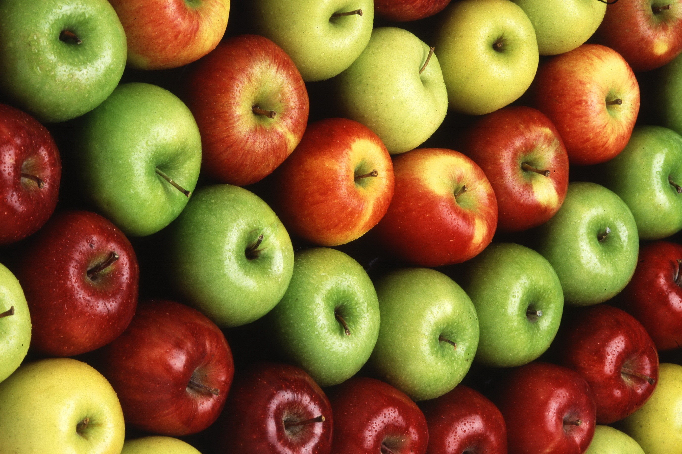 Téléchargez gratuitement l'image Nourriture, Pomme, Fruit, Des Fruits sur le bureau de votre PC