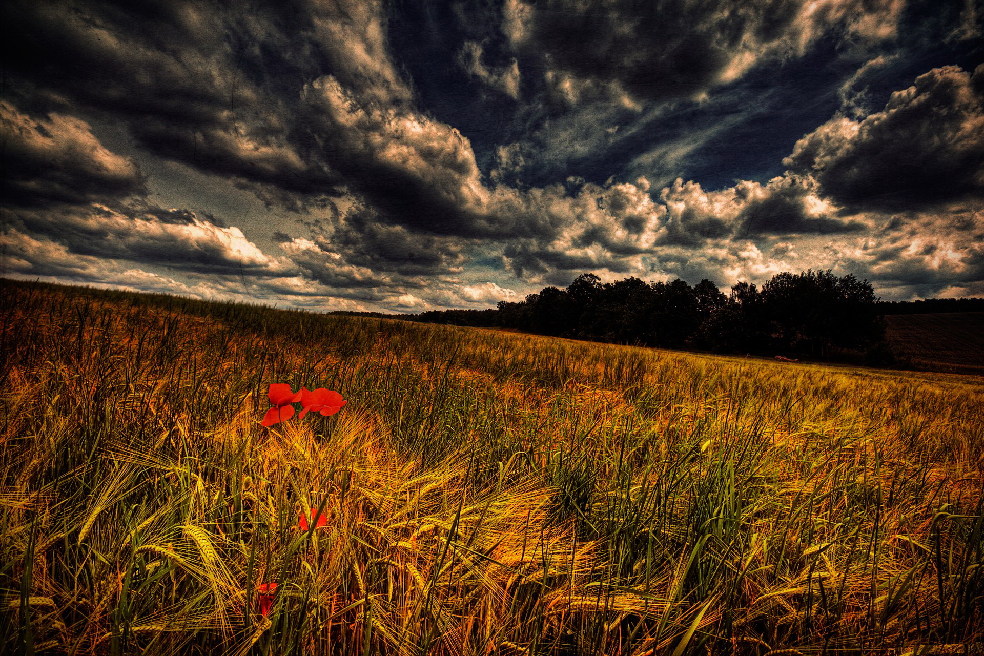 Download mobile wallpaper Earth, Field for free.