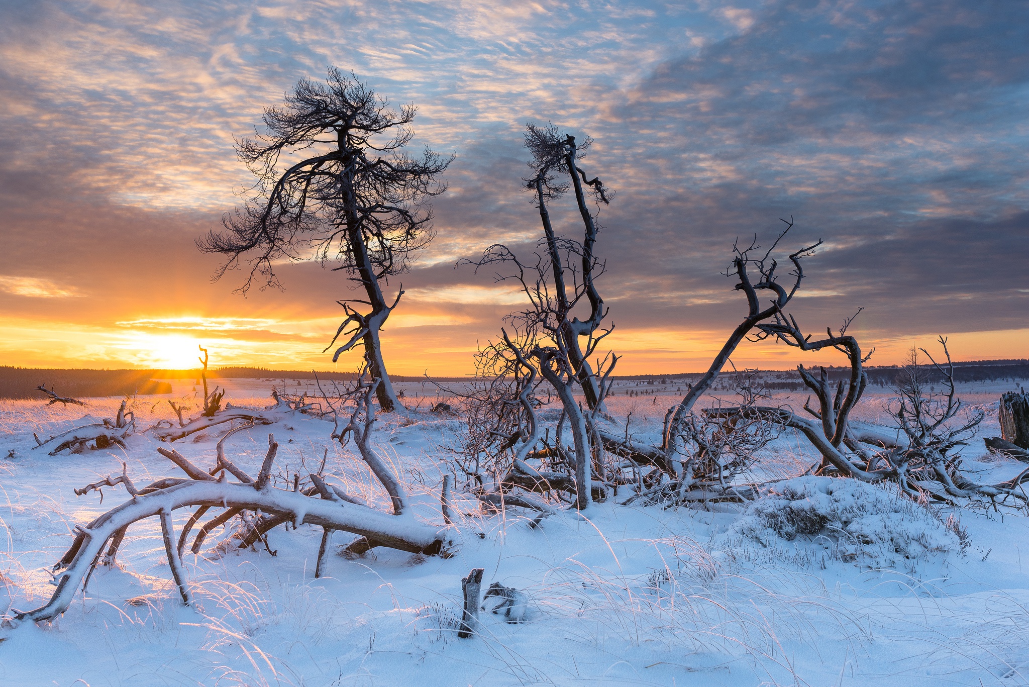 Free download wallpaper Winter, Nature, Snow, Sunrise, Earth on your PC desktop