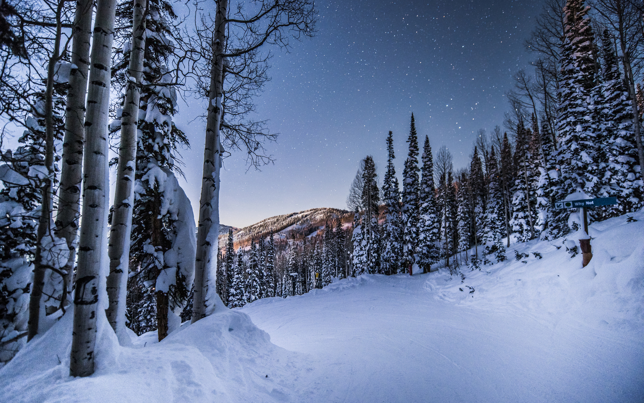 Handy-Wallpaper Winter, Schnee, Wald, Baum, Erde/natur kostenlos herunterladen.