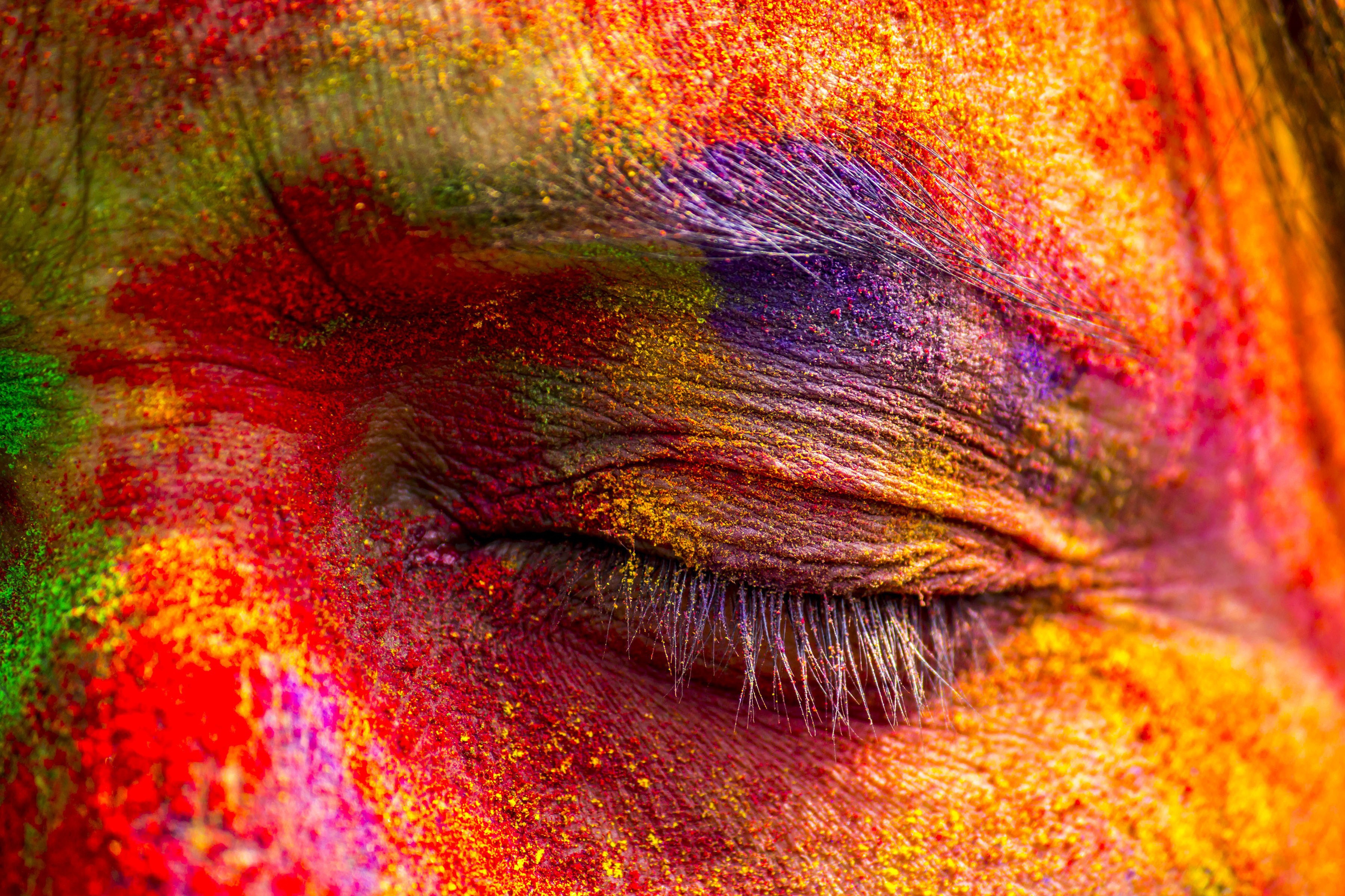 Free download wallpaper Macro, Holiday, Colors, Colorful, Eye, Holi on your PC desktop