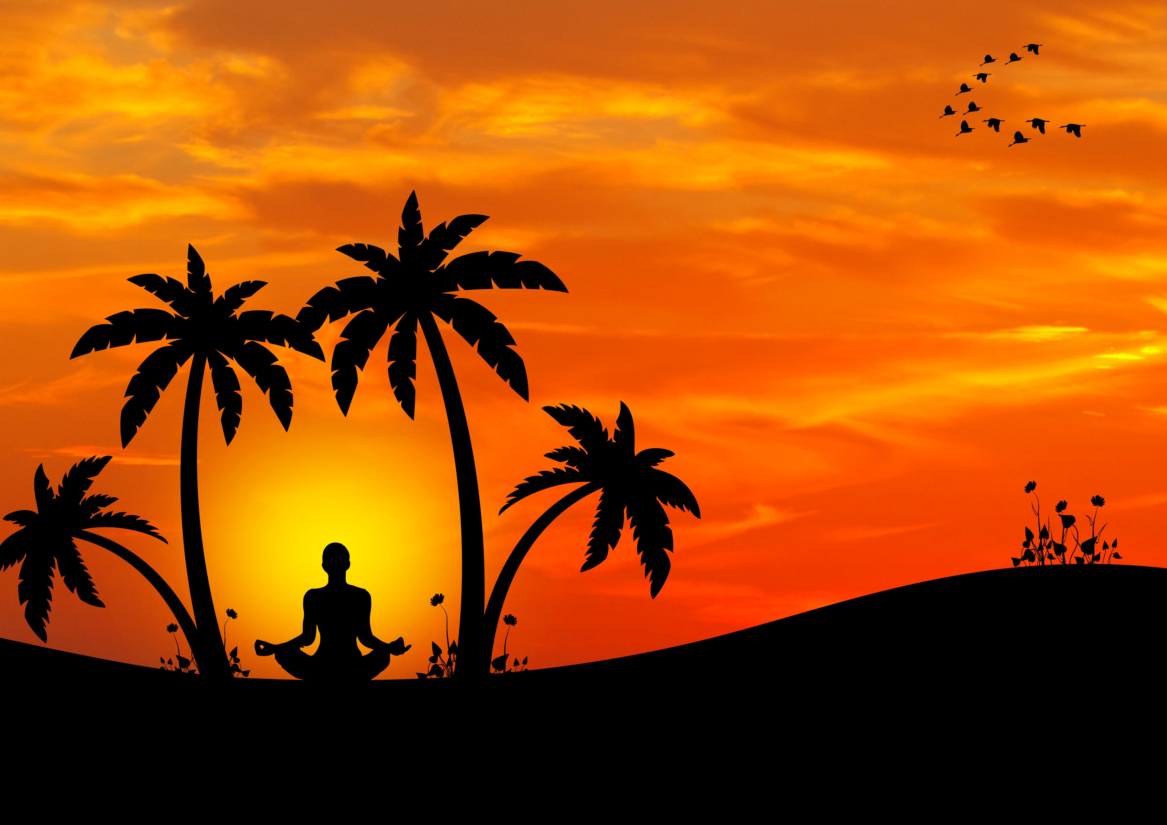 77105 скачать обои медитация, йога, пальмы, гармония, вектор, силуэт - заставки и картинки бесплатно