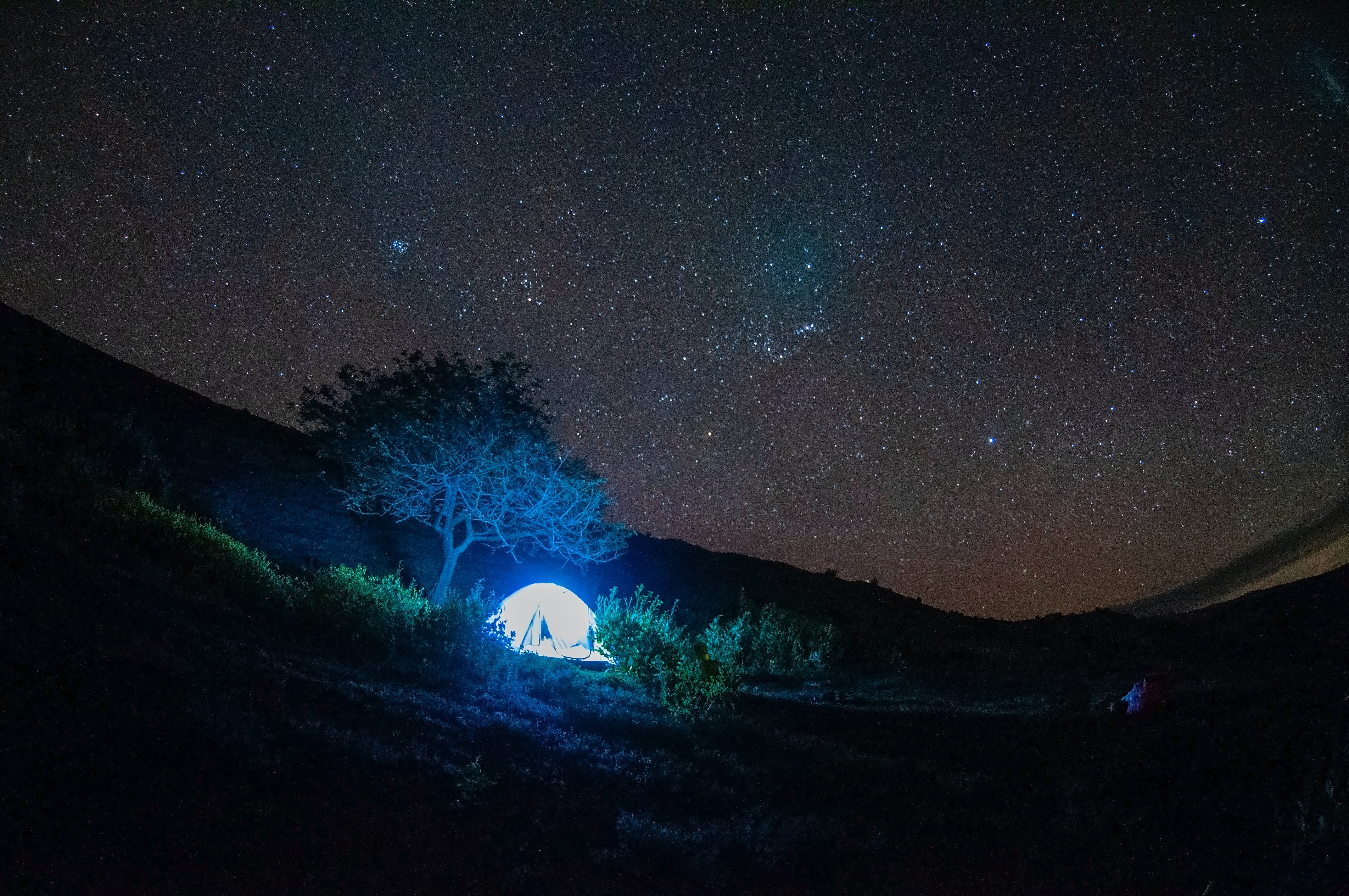 tent, trees, stars, night, dark, shine, light