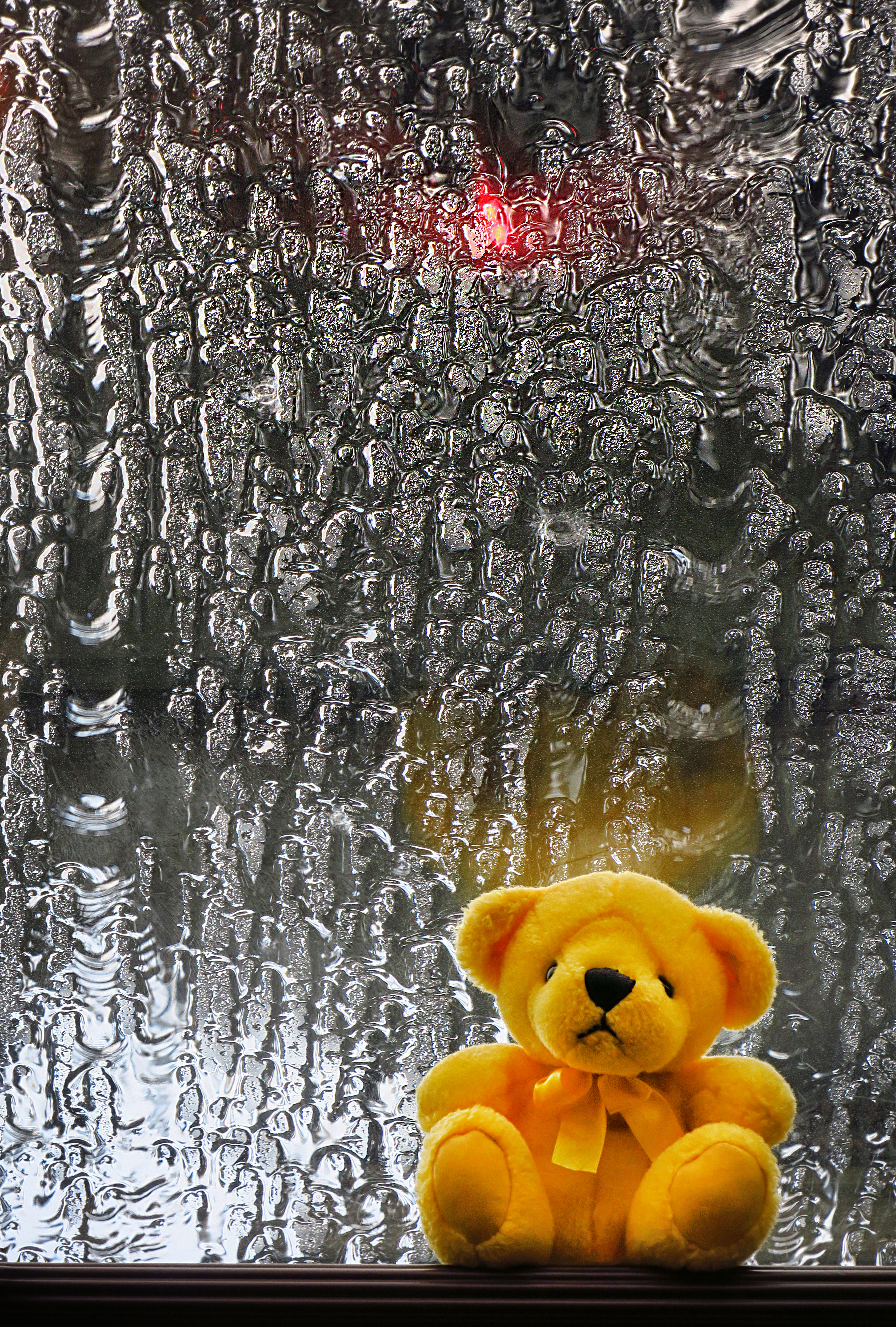 teddy bear, miscellanea, miscellaneous, wet, plush, toy, window, bear cub