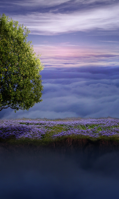 Download mobile wallpaper Horizon, Tree, Alone, Cloud, Photography, Manipulation for free.
