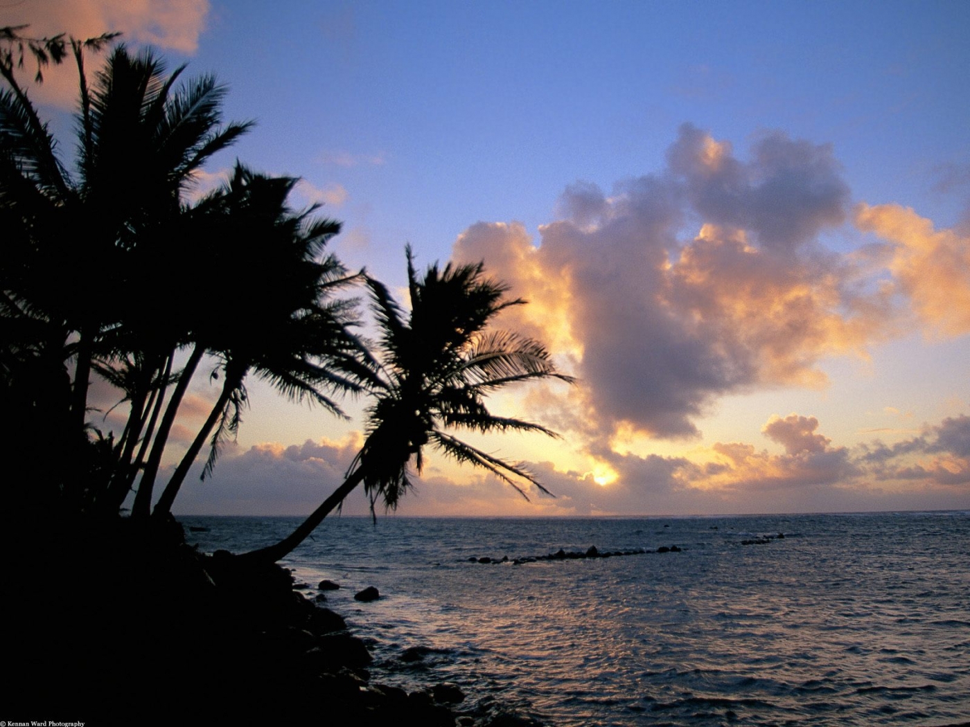 Handy-Wallpaper Sunset, Landschaft, Sea, Palms kostenlos herunterladen.