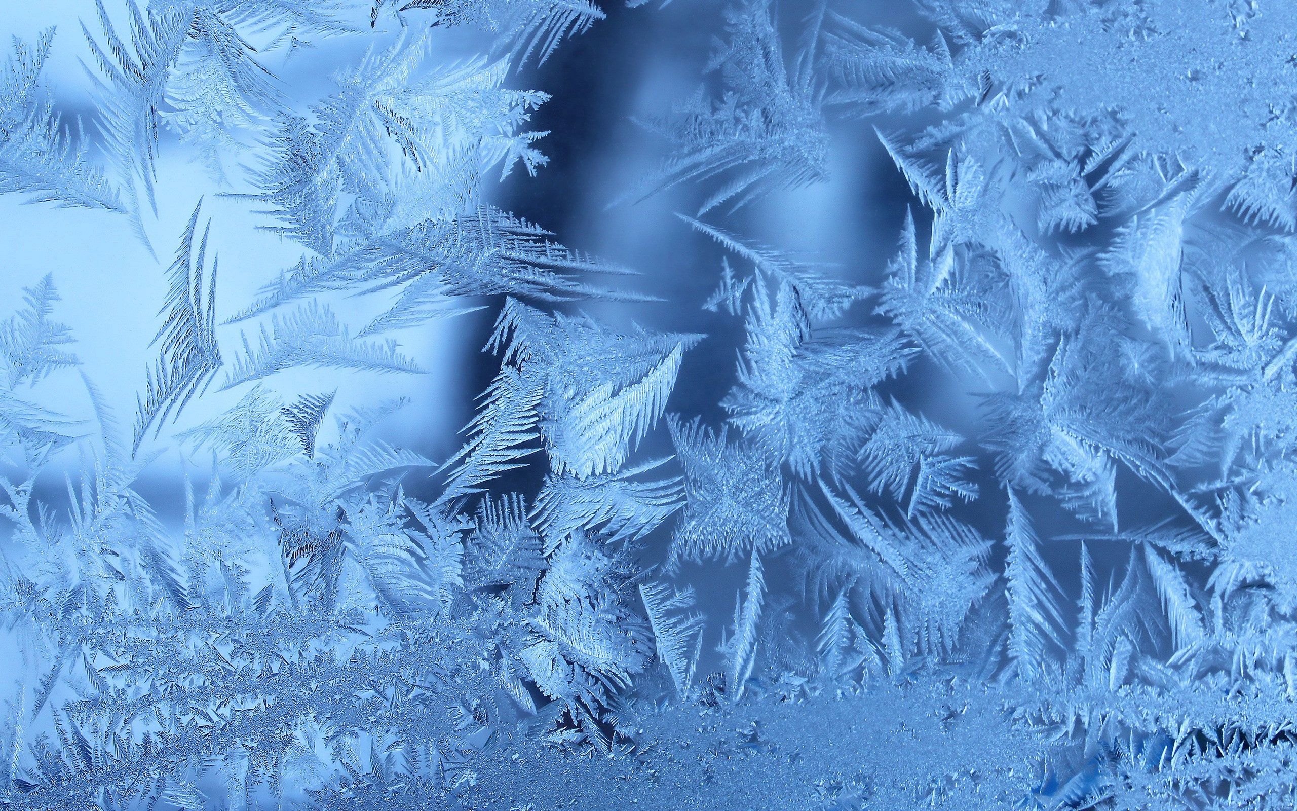 Popular Frost Image for Phone