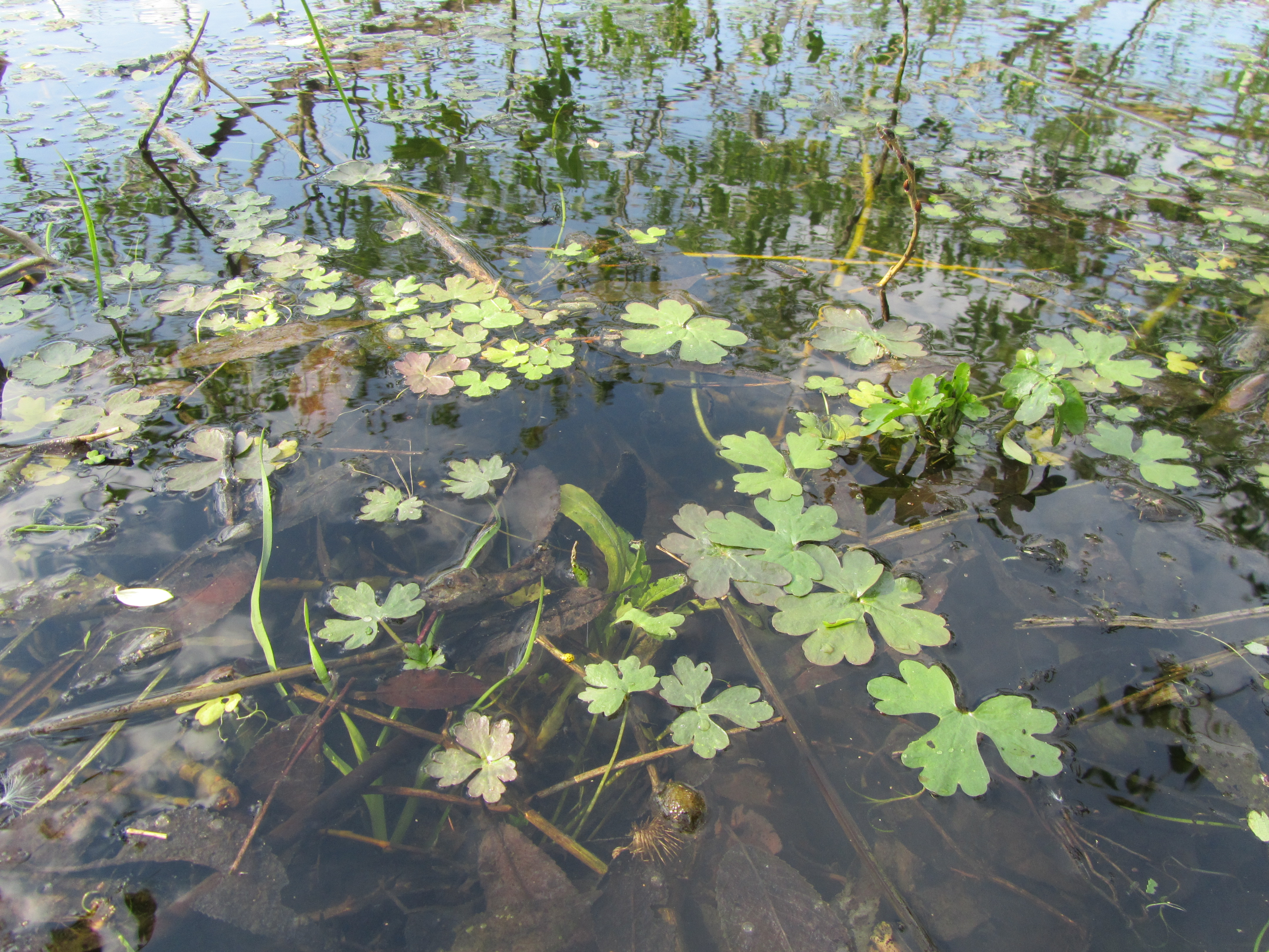 Handy-Wallpaper Wasser, Erde/natur kostenlos herunterladen.