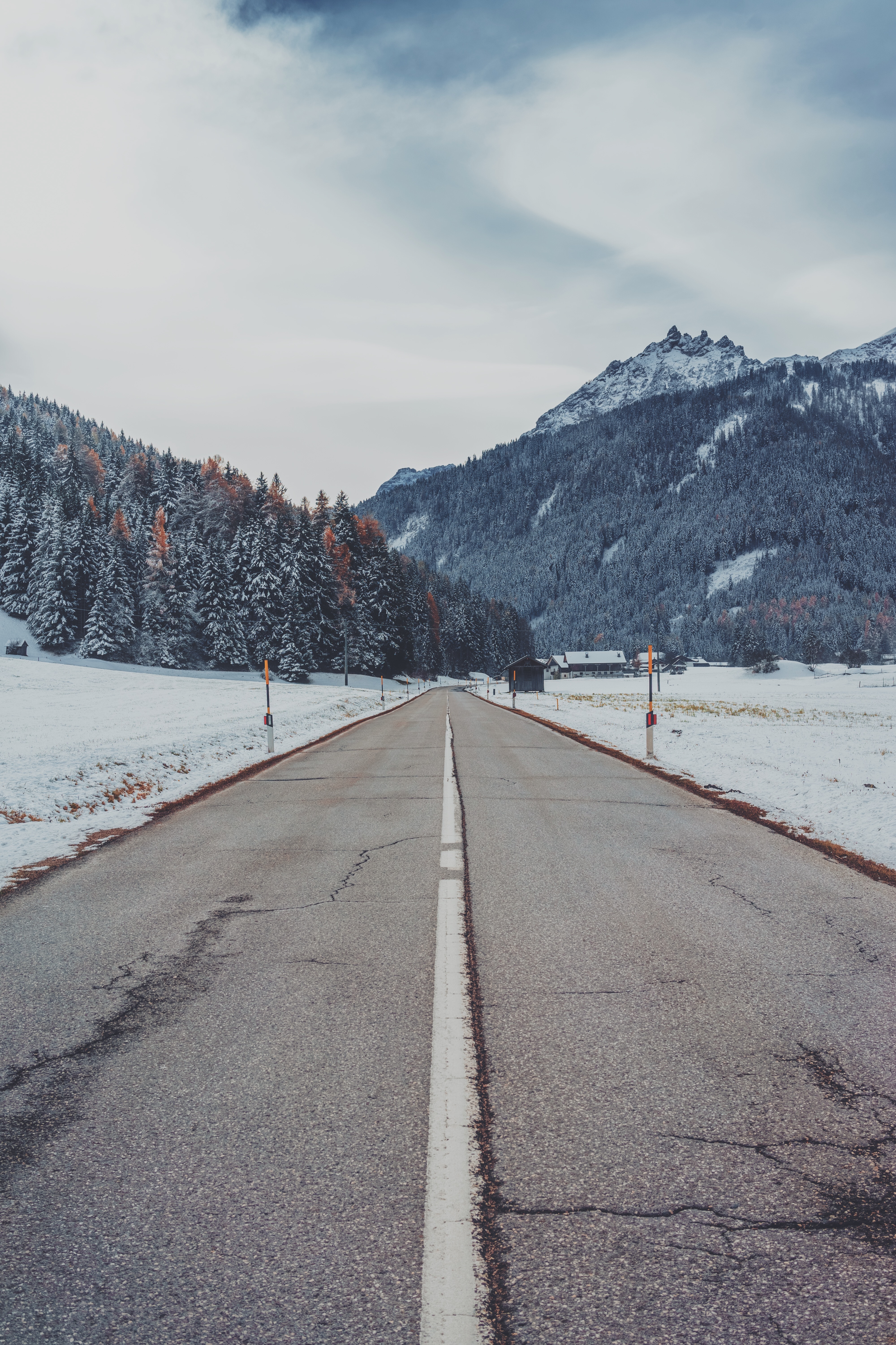 trees, markup, nature, mountains, snow, road Smartphone Background