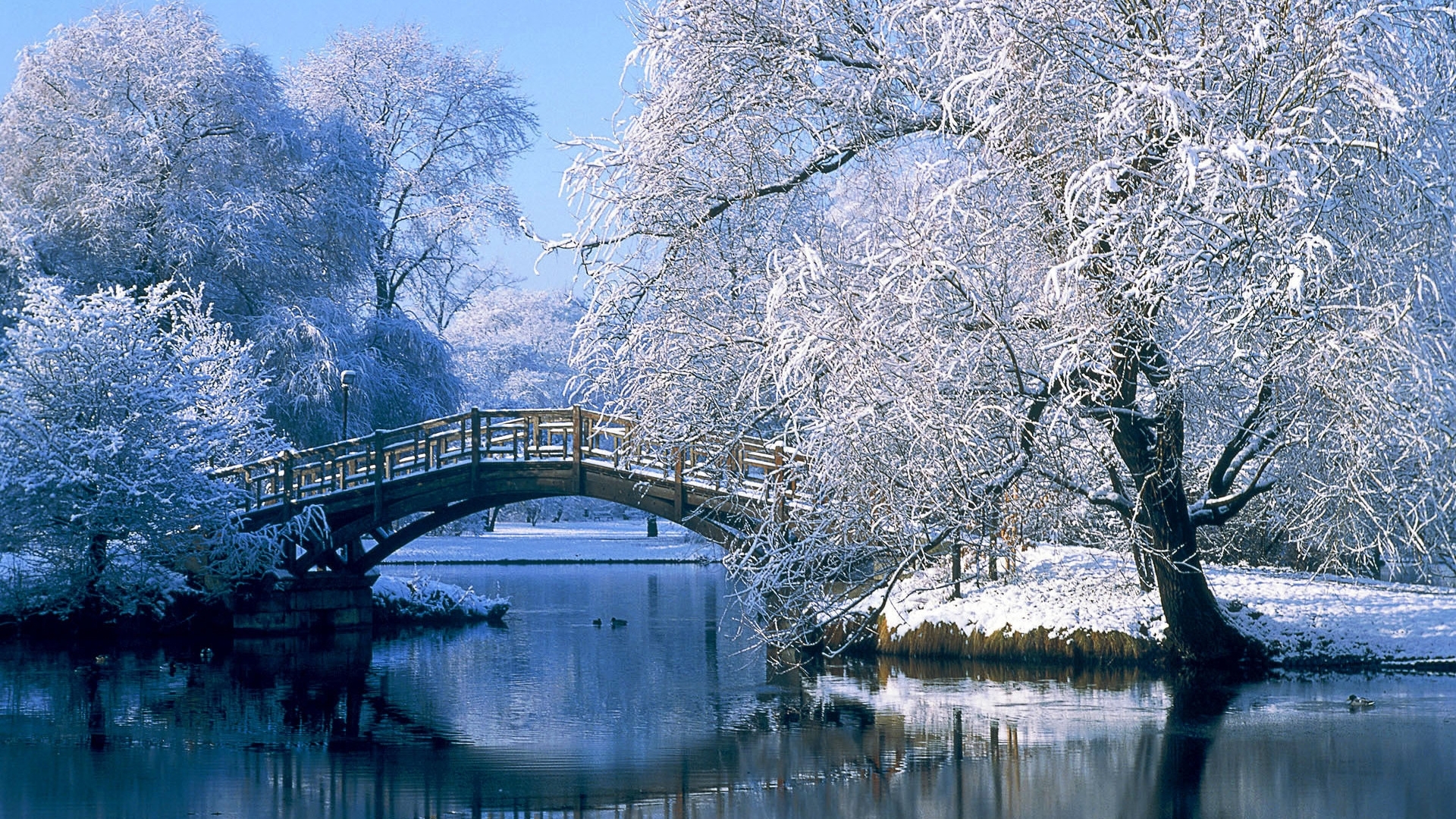 27433 скачать картинку зима, деревья, синие, пейзаж, мосты, река - обои и заставки бесплатно