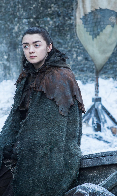 Download mobile wallpaper Game Of Thrones, Tv Show, Maisie Williams, Arya Stark, House Stark for free.