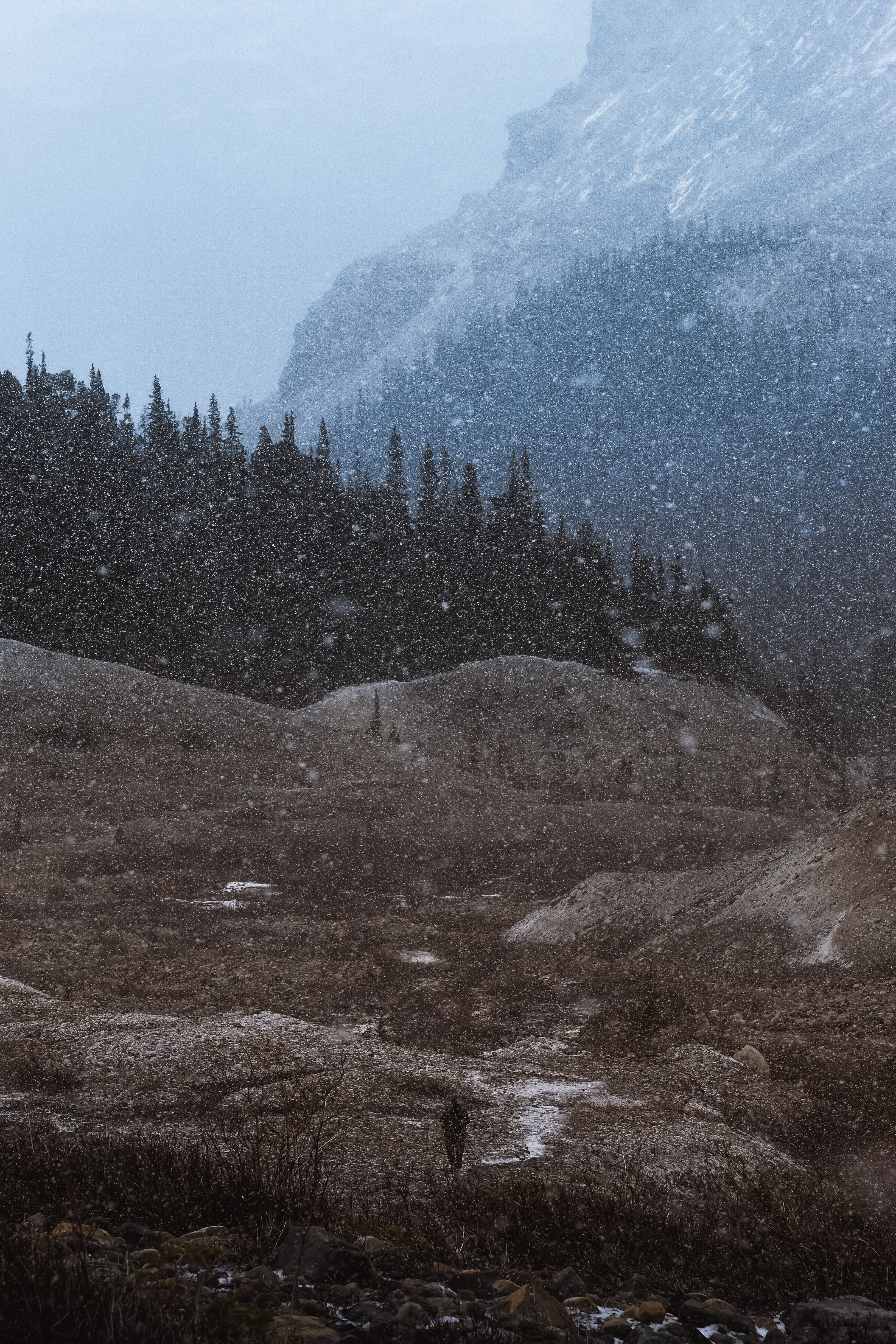 Free download wallpaper Trees, Mountains, Twilight, Dusk, Snowfall, Nature, Landscape on your PC desktop