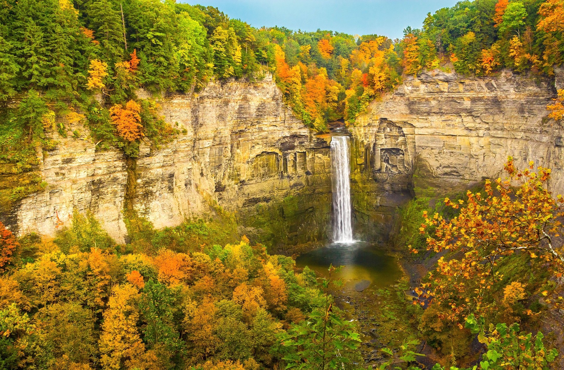 Скачать картинку Осень, Водопады, Водопад, Дерево, Земля/природа в телефон бесплатно.