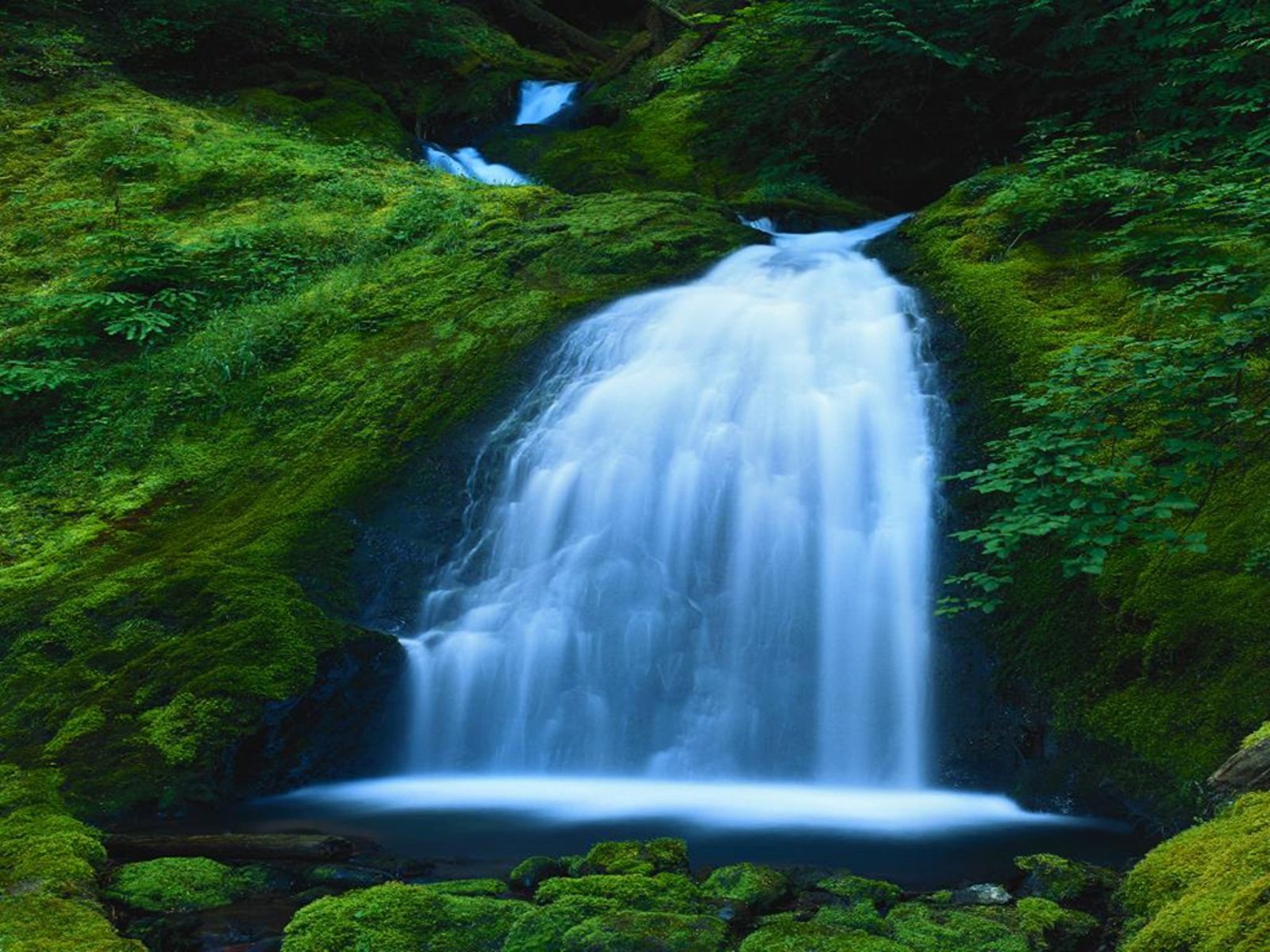 Скачать картинку Водопад, Лес, Земля, Зеленый, Мох, Земля/природа в телефон бесплатно.