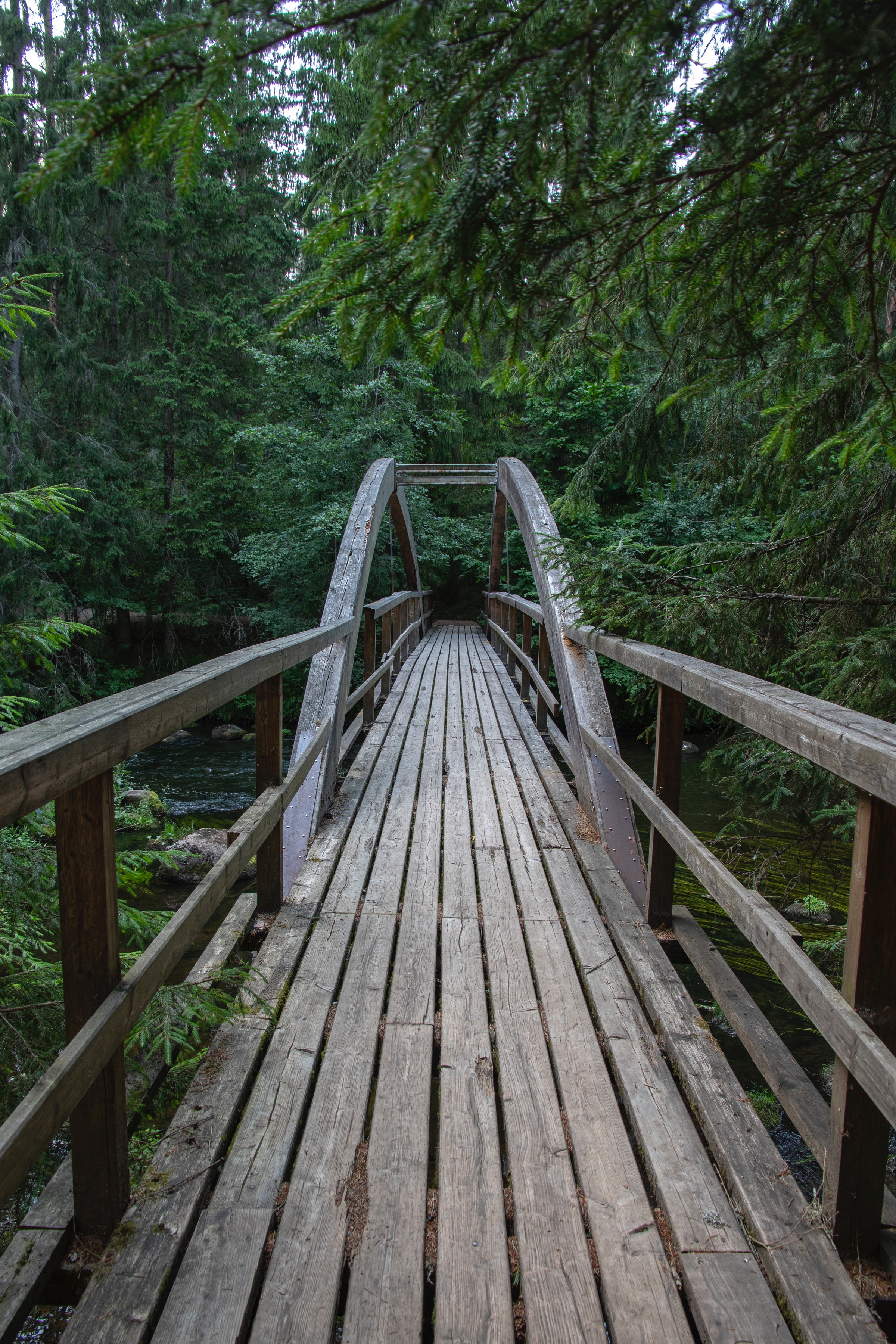 bridge, nature, trees, wood, wooden, forest, branches Full HD