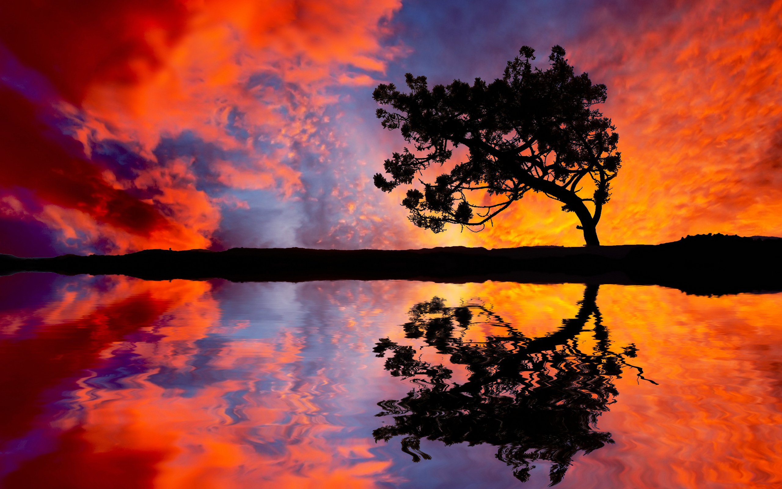 sunrise, reflection, earth, cloud, lake, pond, sky, sunset, tree