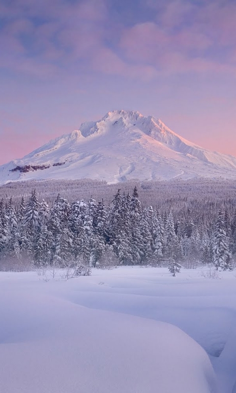 Descarga gratuita de fondo de pantalla para móvil de Invierno, Tierra/naturaleza.