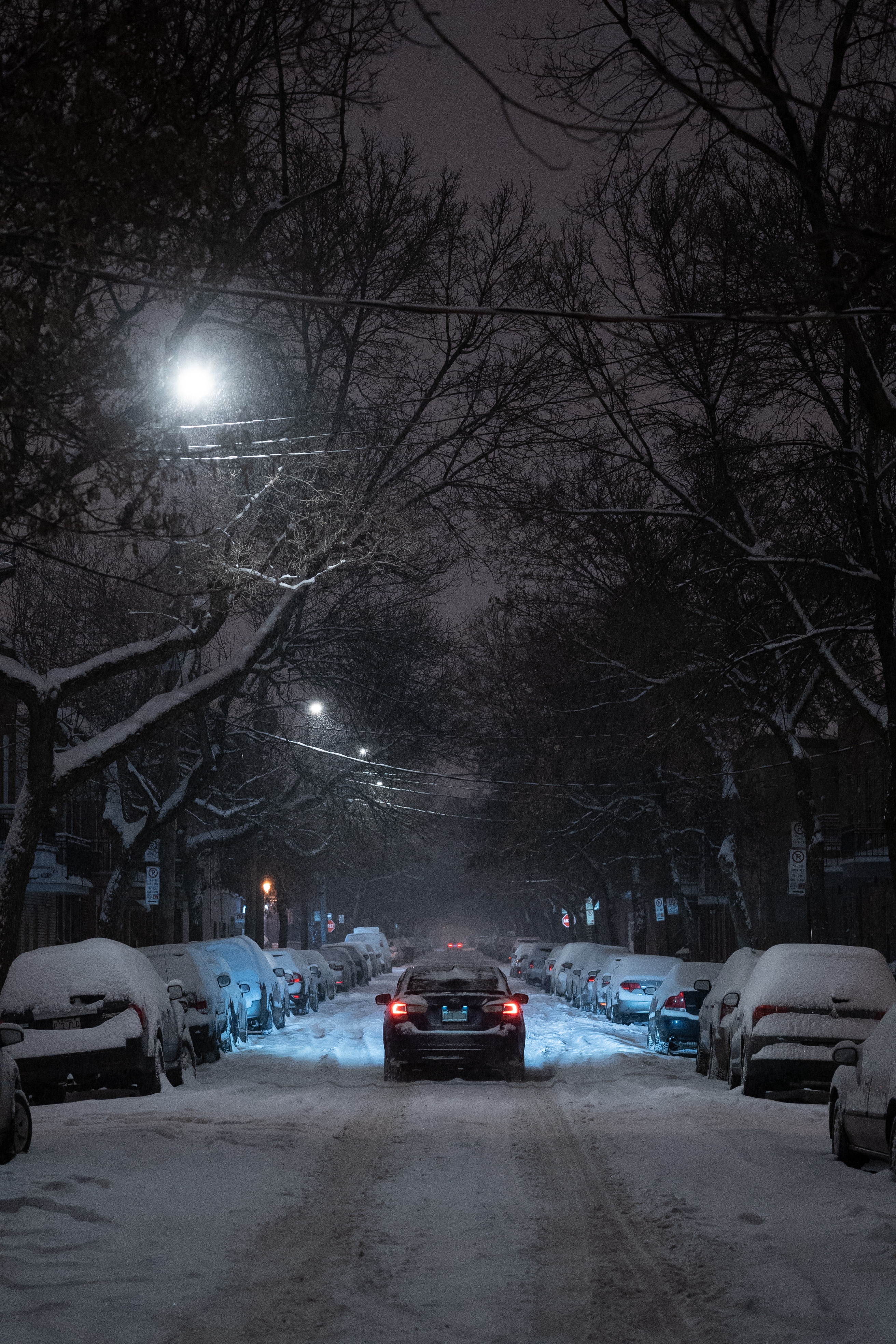 winter, cities, trees, night, car, traffic, movement, branches, street