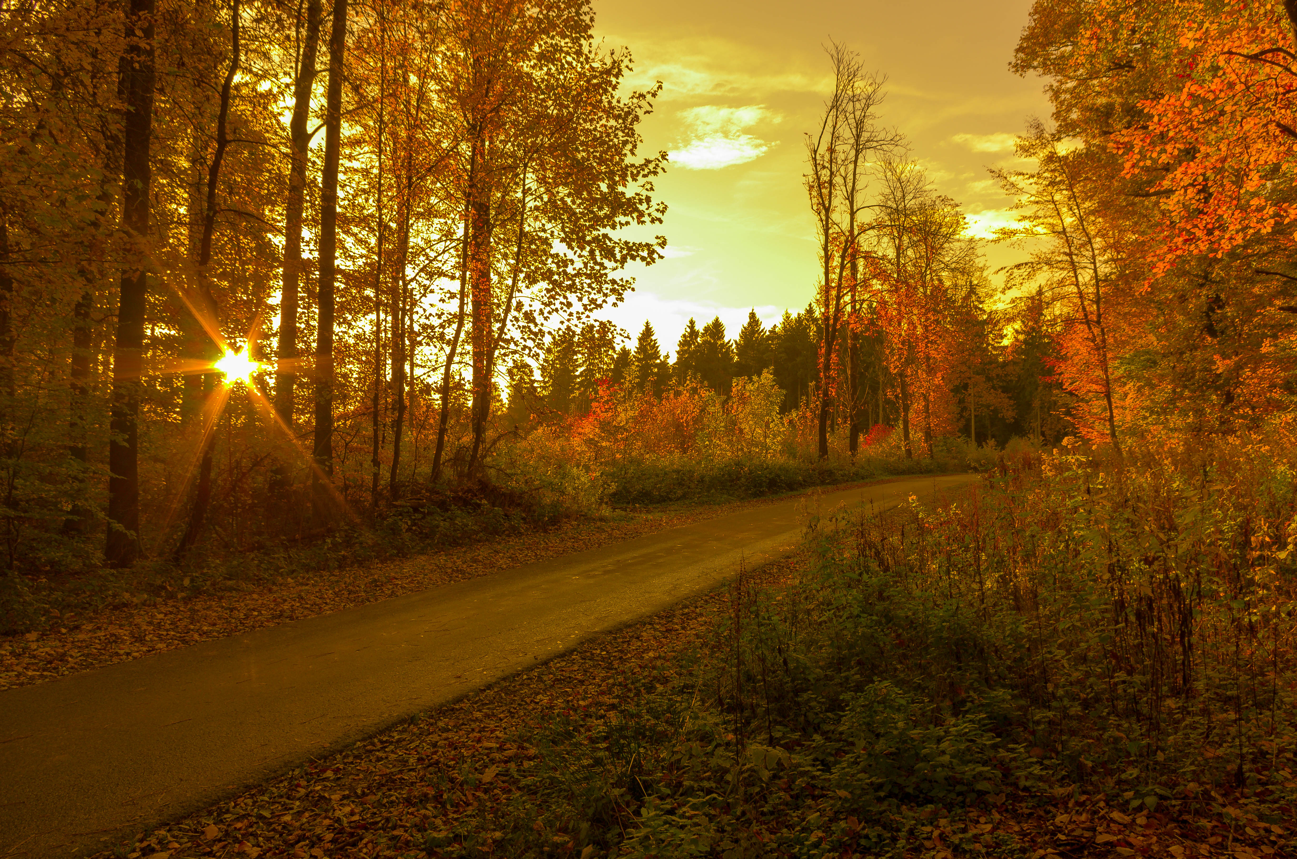 Téléchargez des papiers peints mobile Coucher De Soleil, Automne, Route, Rayon De Soleil, Construction Humaine gratuitement.