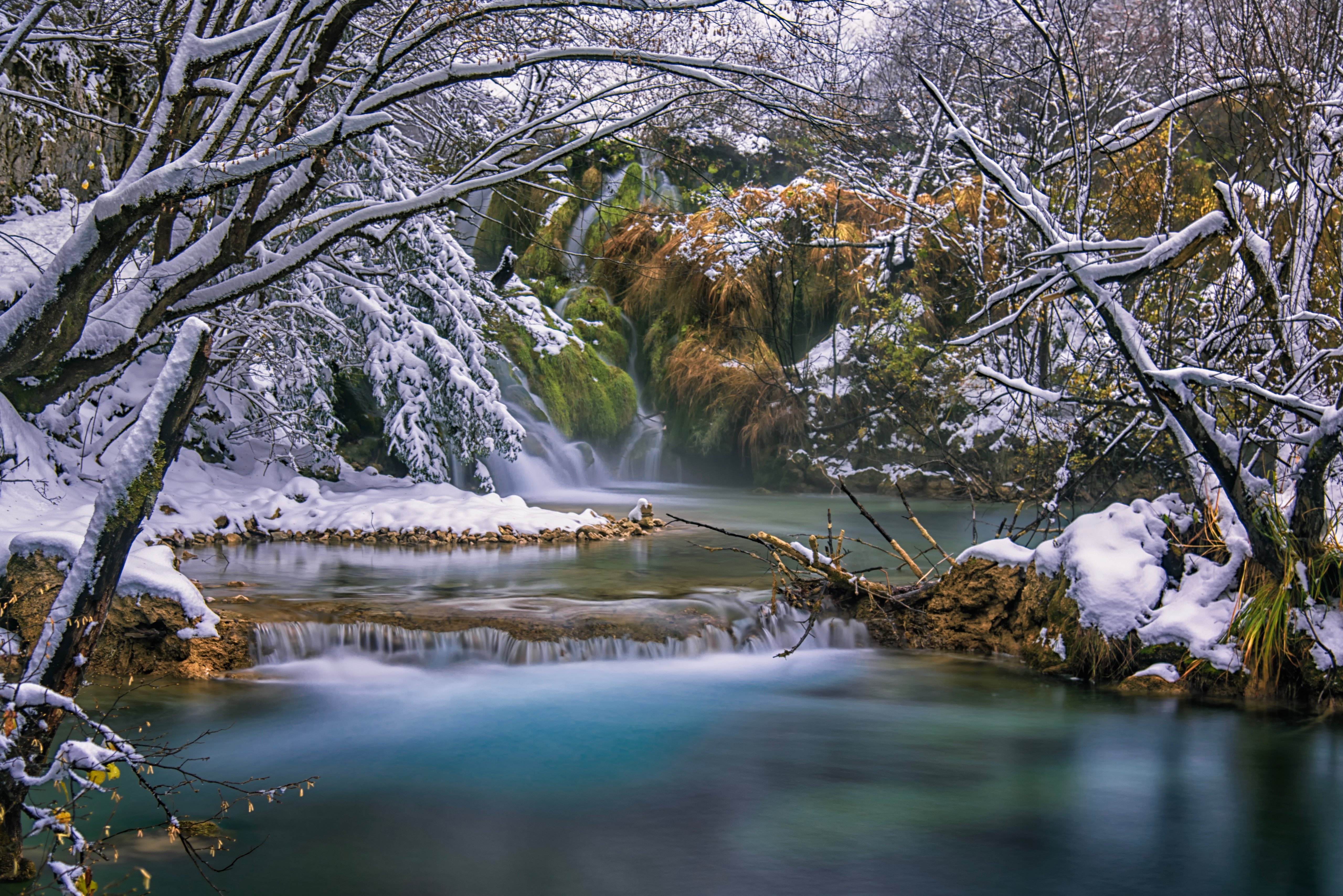 earth, winter, croatia, forest, plitvice lake, snow
