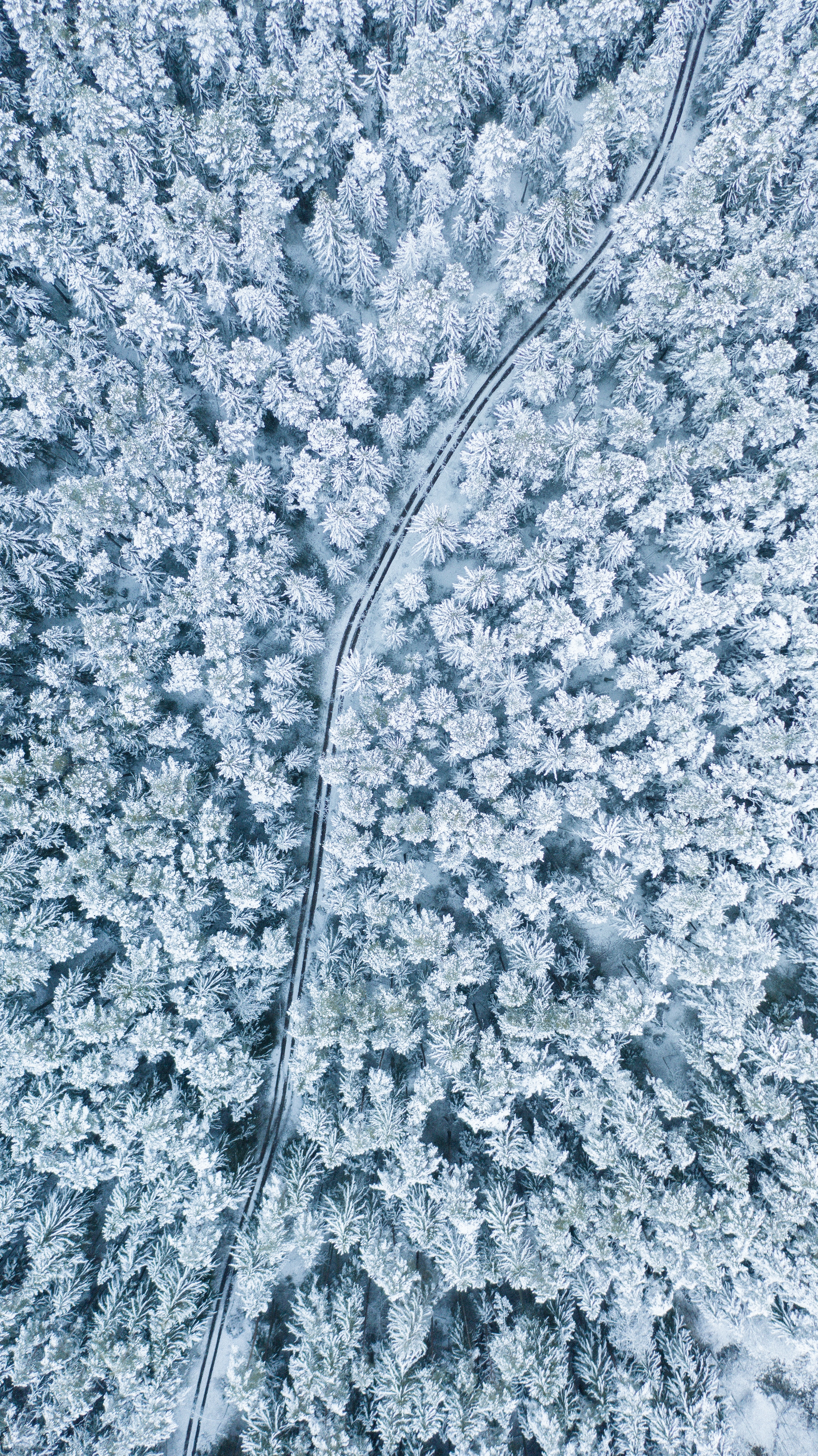 winter, nature, trees, snow, view from above, forest Smartphone Background