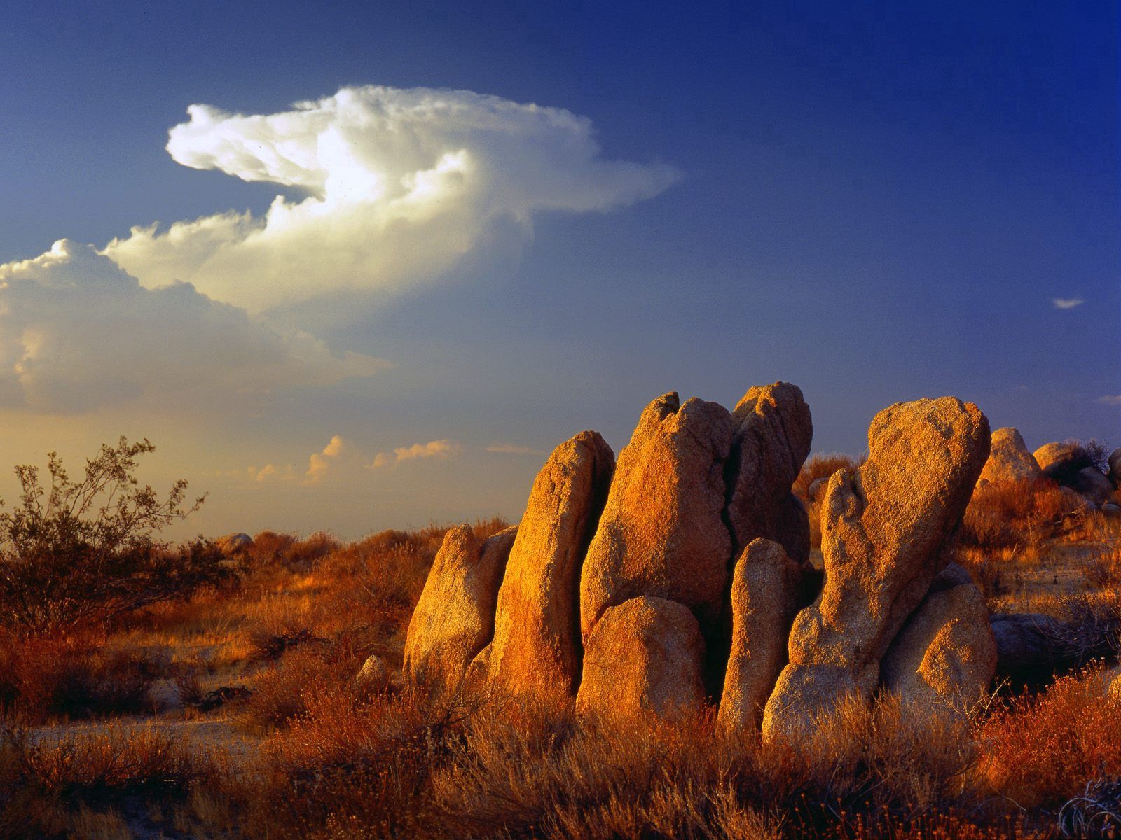 Download mobile wallpaper Nature, Clouds, Sky, Grass, Stones for free.