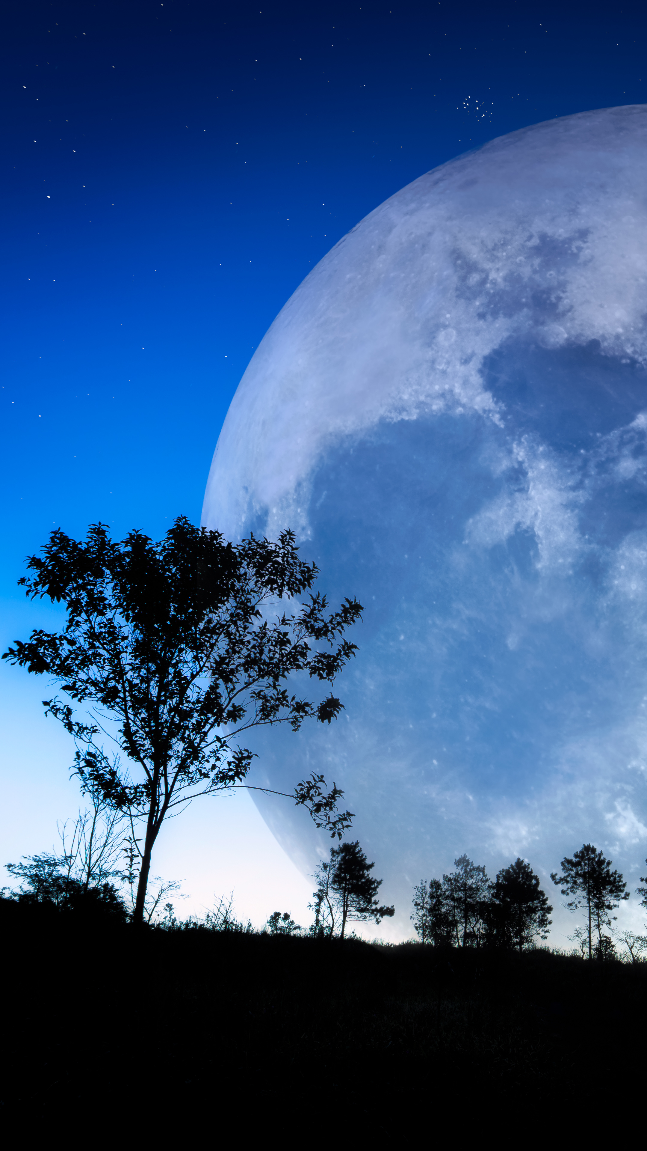 Descarga gratuita de fondo de pantalla para móvil de Cielo, Noche, Luna, Tierra/naturaleza.