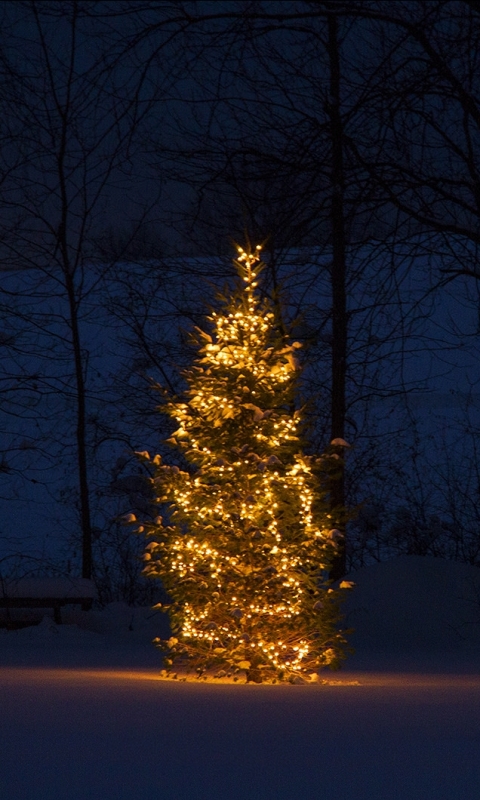 Descarga gratuita de fondo de pantalla para móvil de Navidad, Día Festivo, Árbol De Navidad, Fiesta.