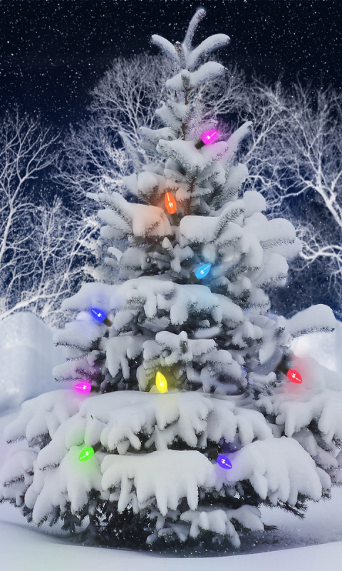 Download mobile wallpaper Snow, Christmas, Holiday, Christmas Tree, Christmas Lights for free.