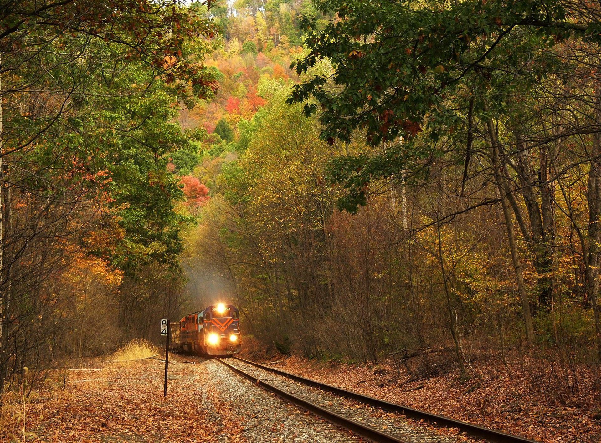 Free download wallpaper Forest, Fall, Train, Railroad, Vehicles on your PC desktop