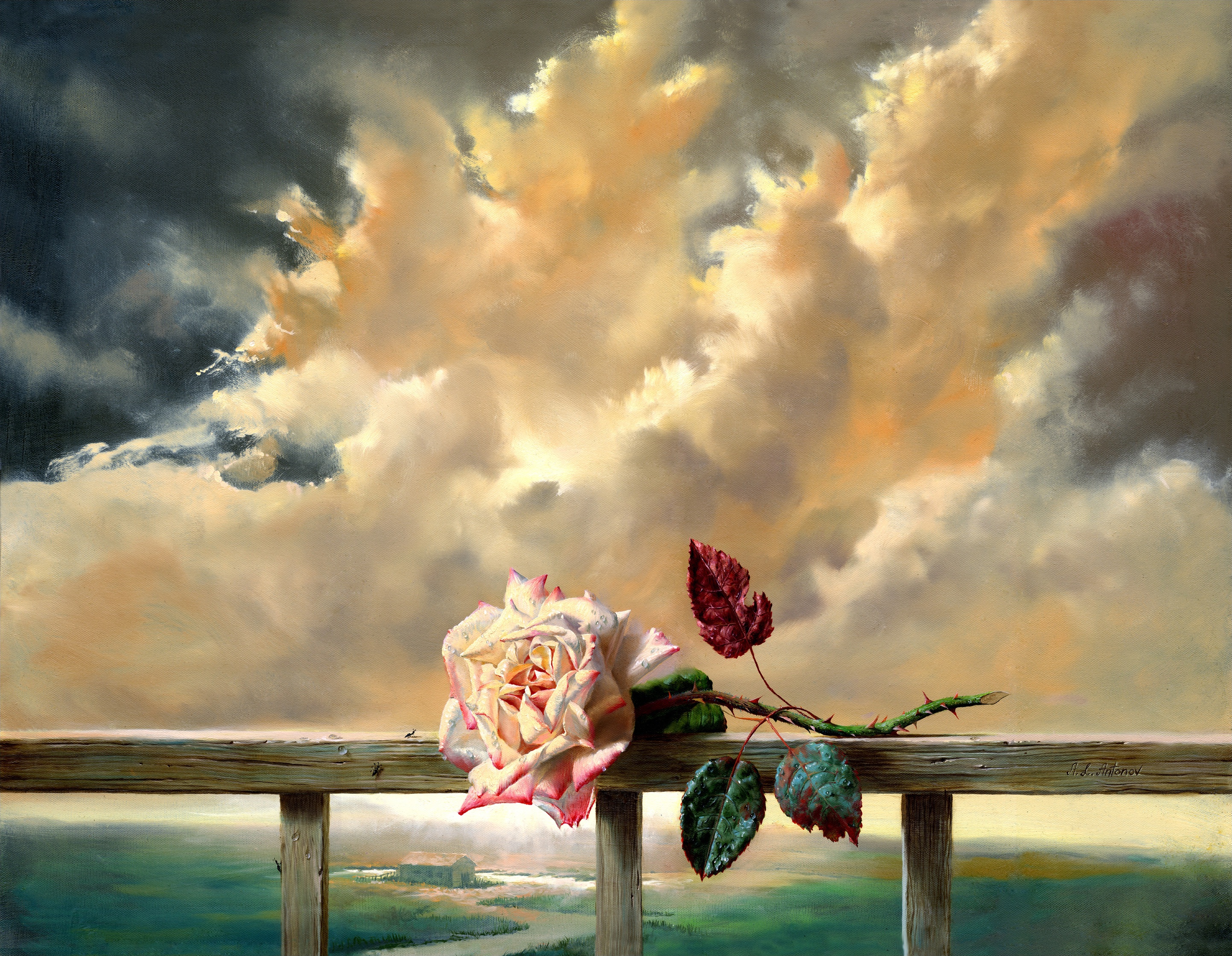 934132 скачать картинку роза, художественные, облака, любовь, розовая роза - обои и заставки бесплатно