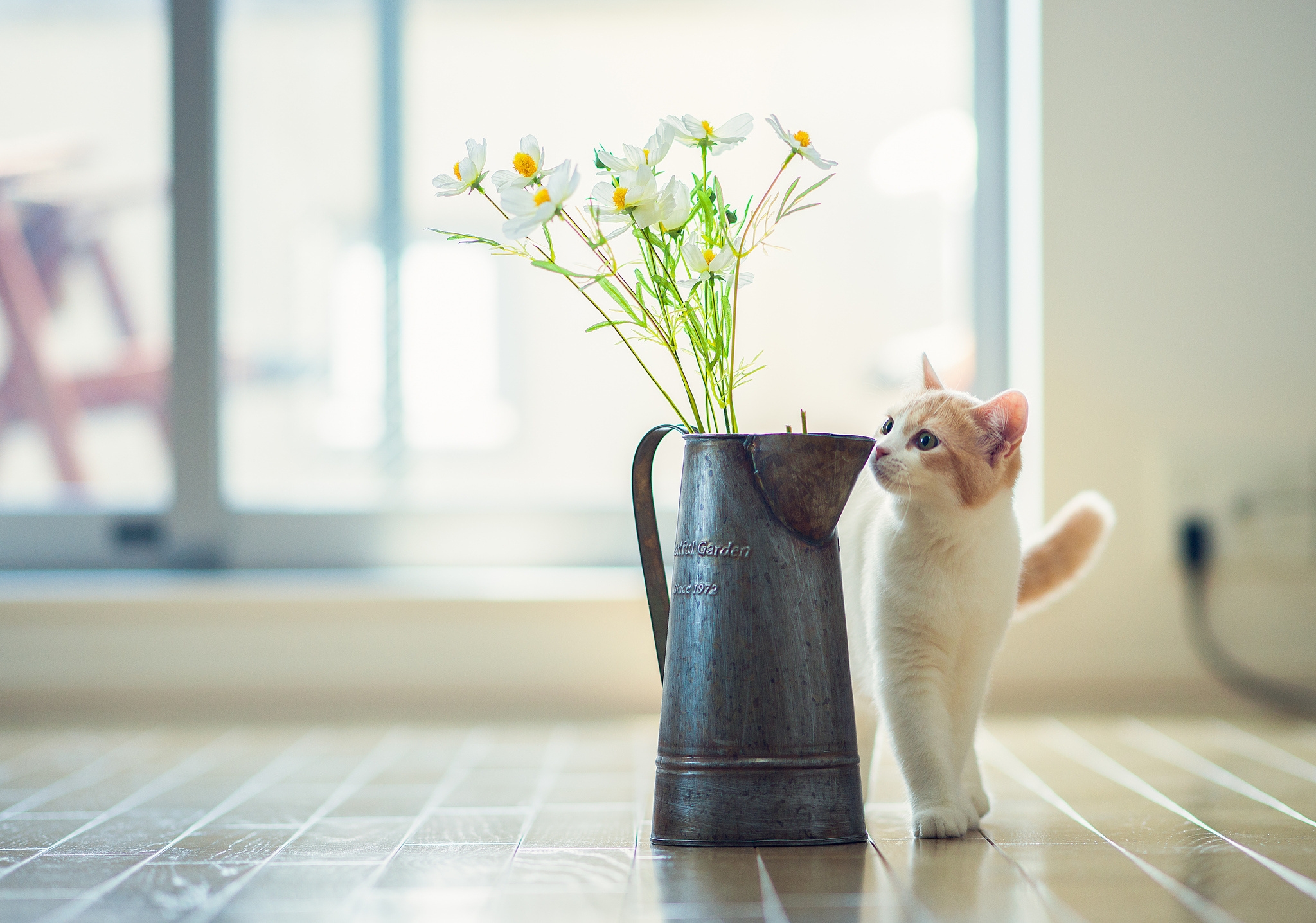 parquet, animals, flowers, kitty, kitten, vase