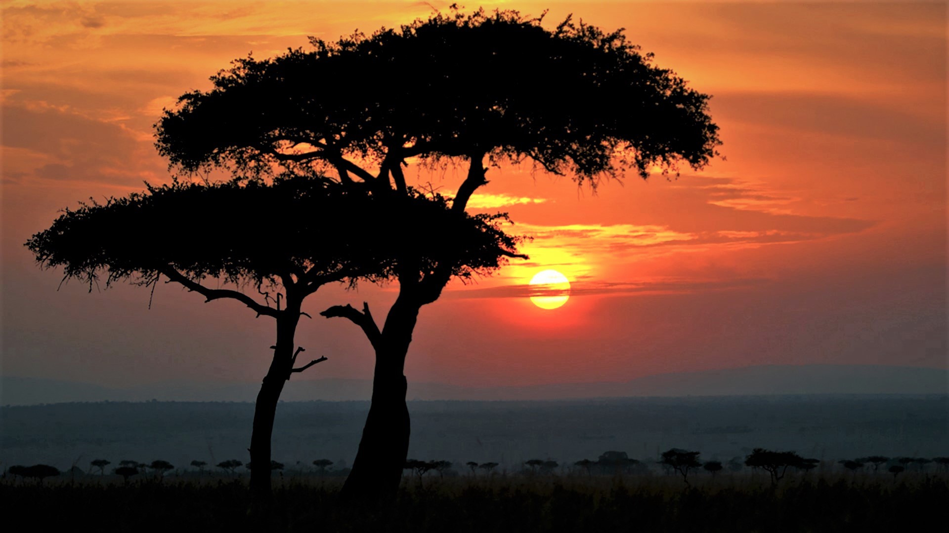 PCデスクトップに日没, シルエット, 地球, アフリカ画像を無料でダウンロード