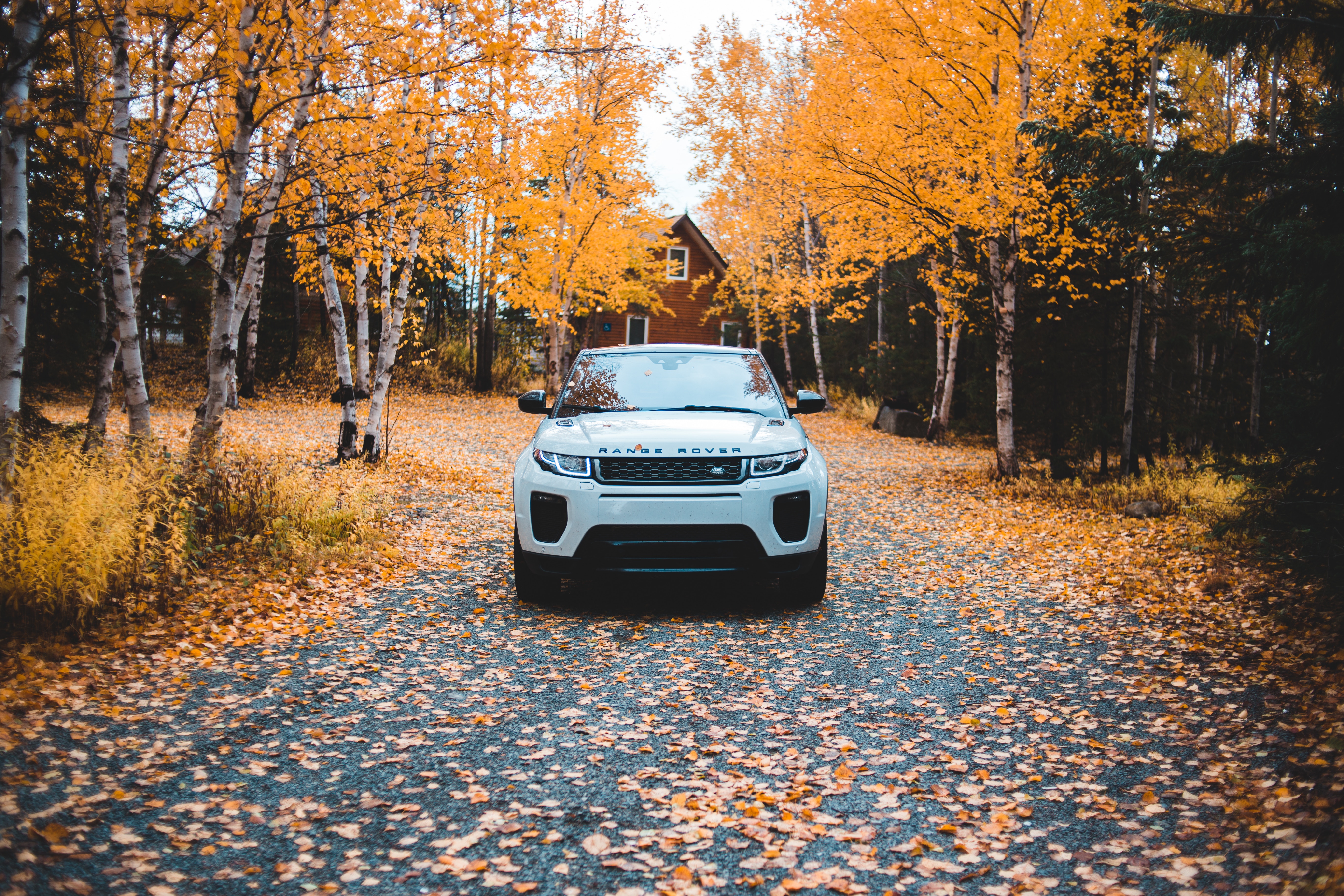 range rover, cars, land rover, front view, autumn, suv