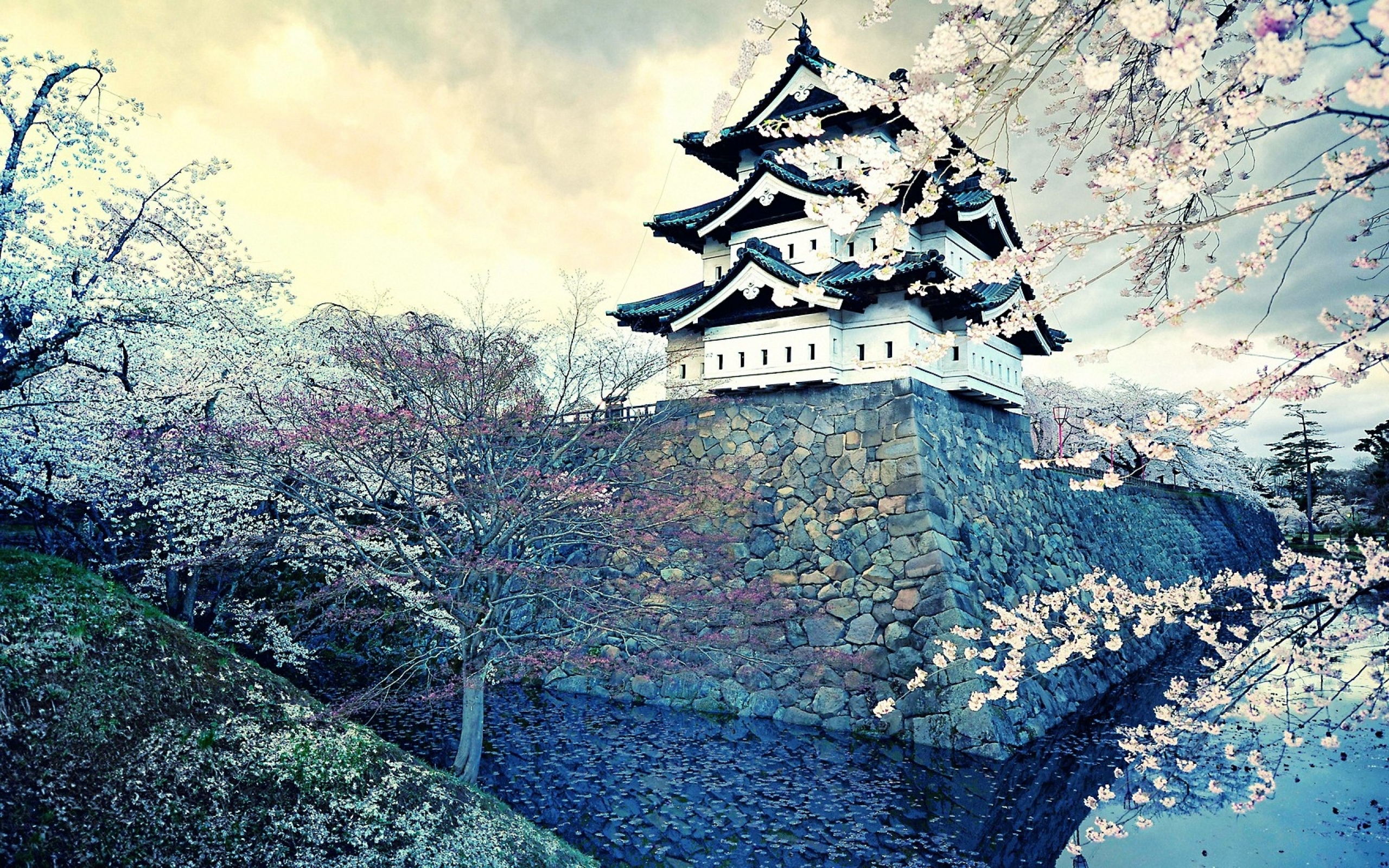 Free download wallpaper Cherry, Castles, City, House, Japan, Spring, Oriental, Blossom, Asian, Man Made, Castle on your PC desktop