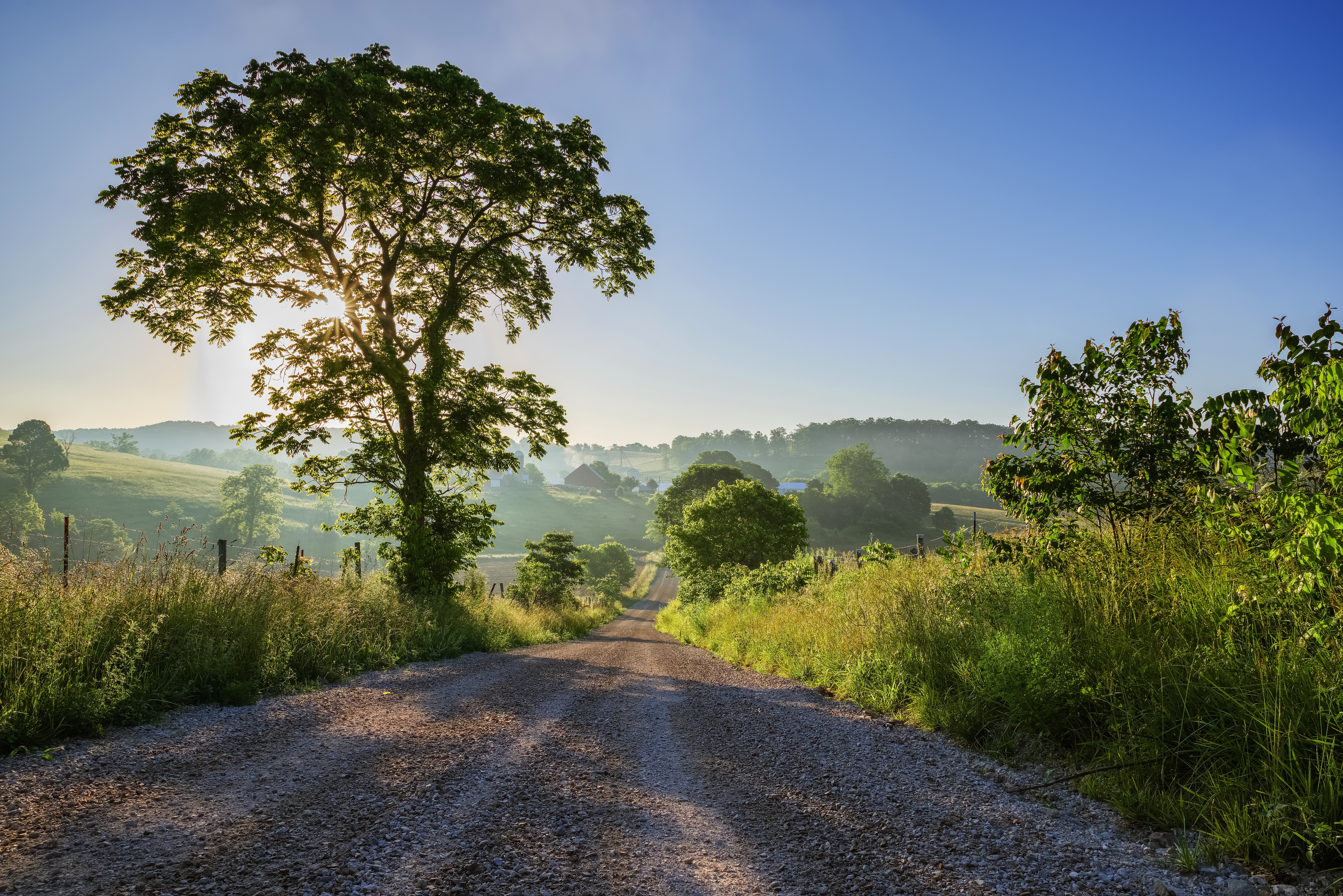 Download mobile wallpaper Landscape, Road, Tree, Sunny, Man Made, Dirt Road for free.